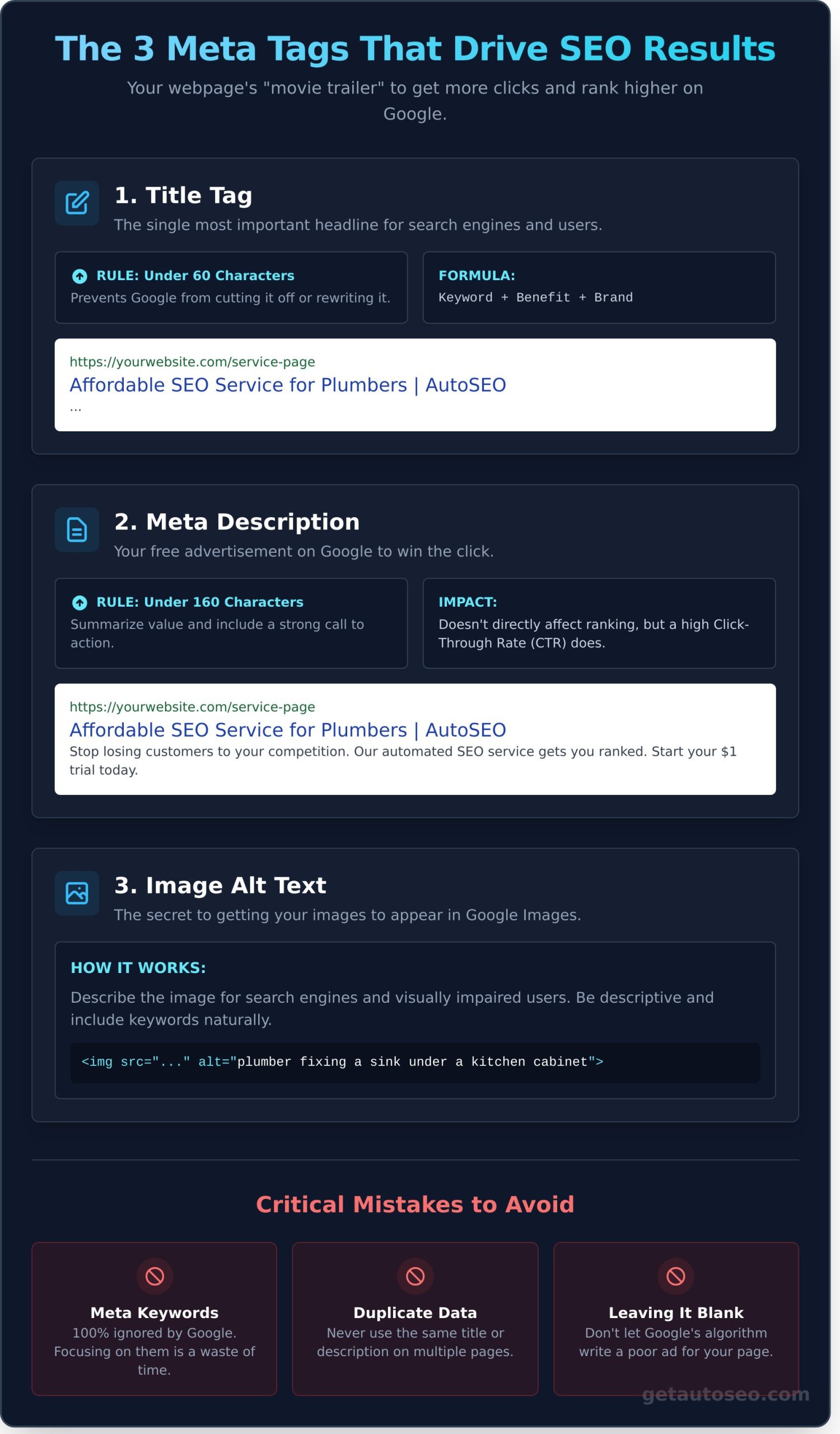 Meta Data for SEO: The No-Fluff Guide to Getting More Clicks - Infographic