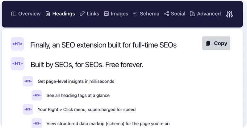 Detailed SEO Checker Chrome Plugin showing results for a webpage
