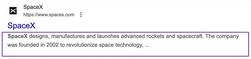 SpaceX meta description example