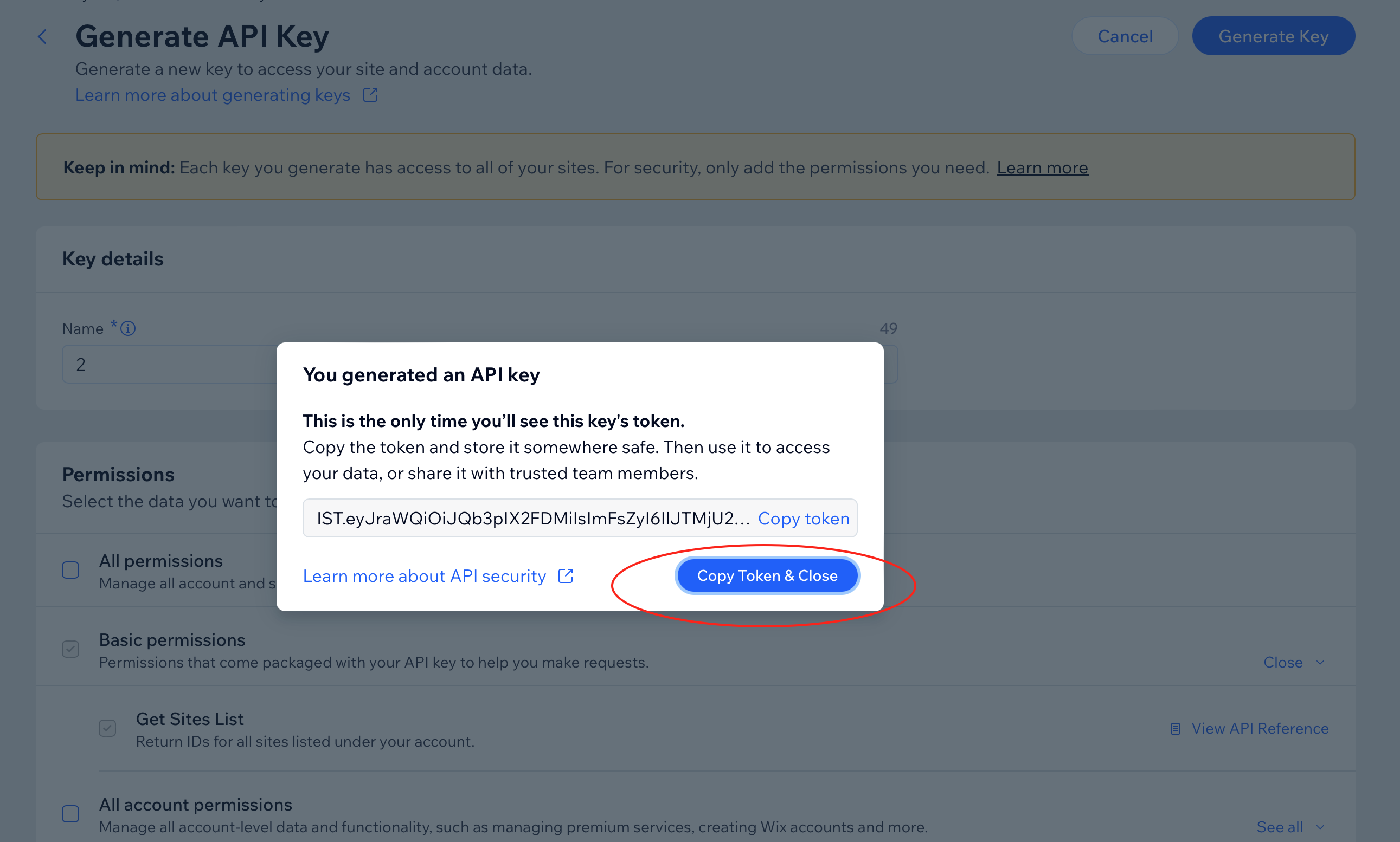 Step 8: Copy the API token
