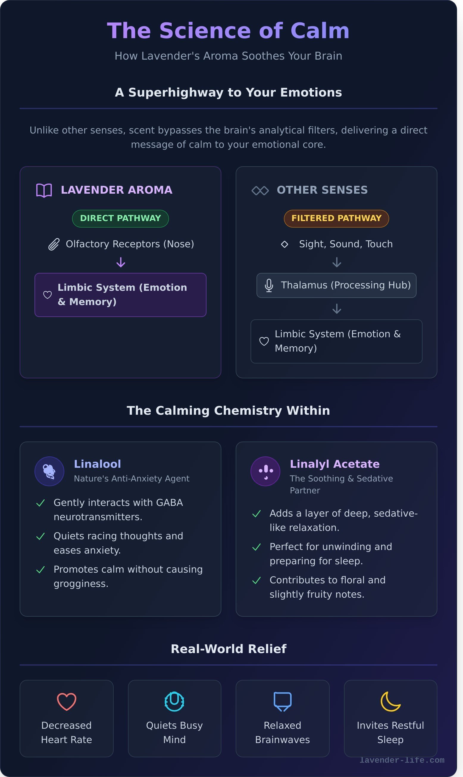 Lavender aroma infographic - visual guide