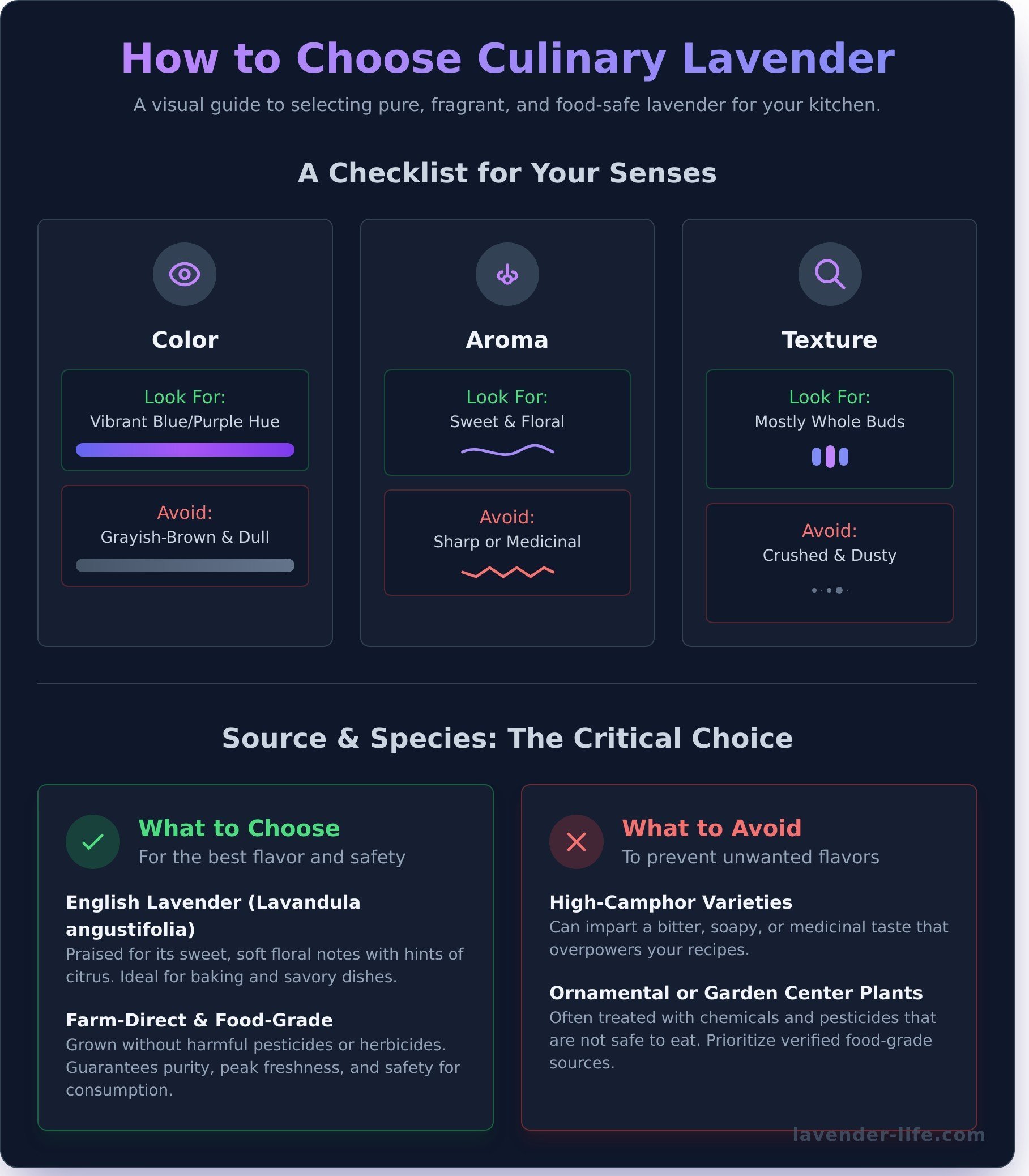 Where to buy culinary lavender infographic - visual guide