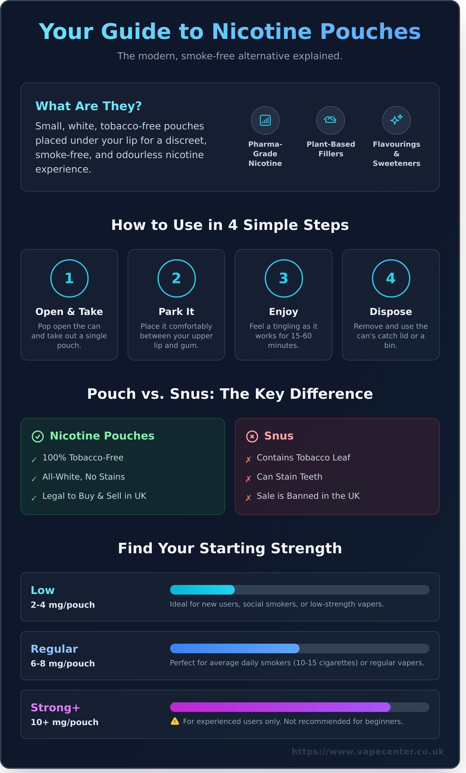 Nicotine pouches infographic - visual guide