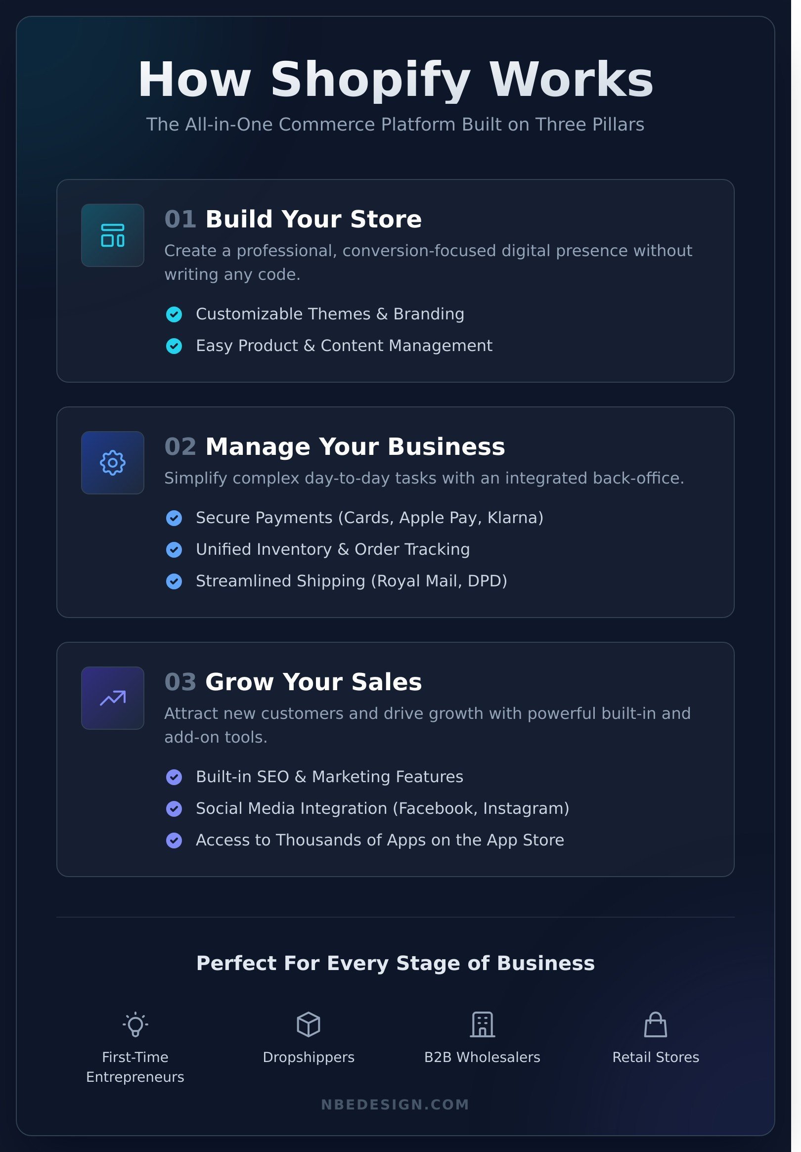 What is shopify infographic - visual guide
