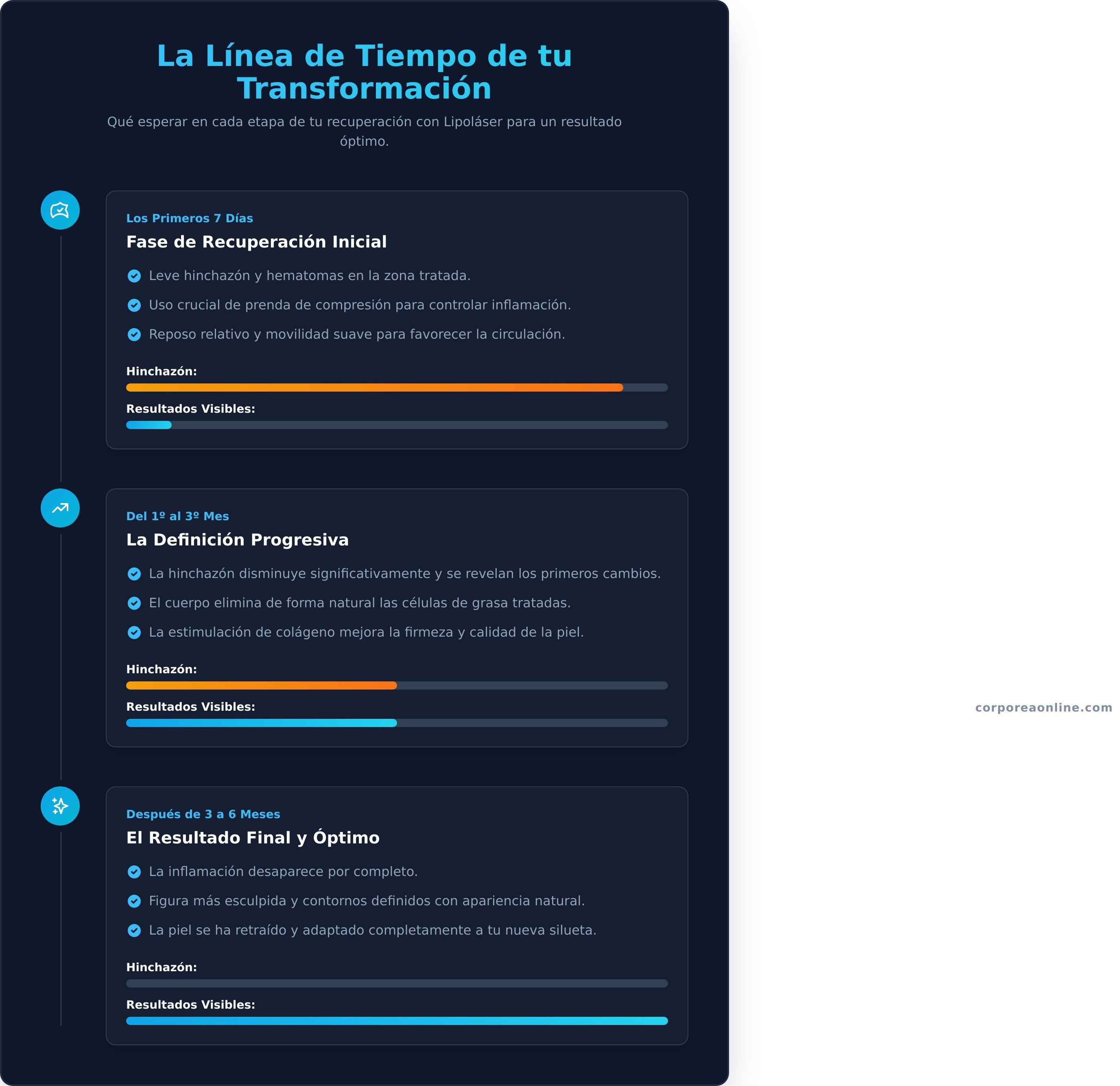 Lipolaser antes y despues infographic - visual guide