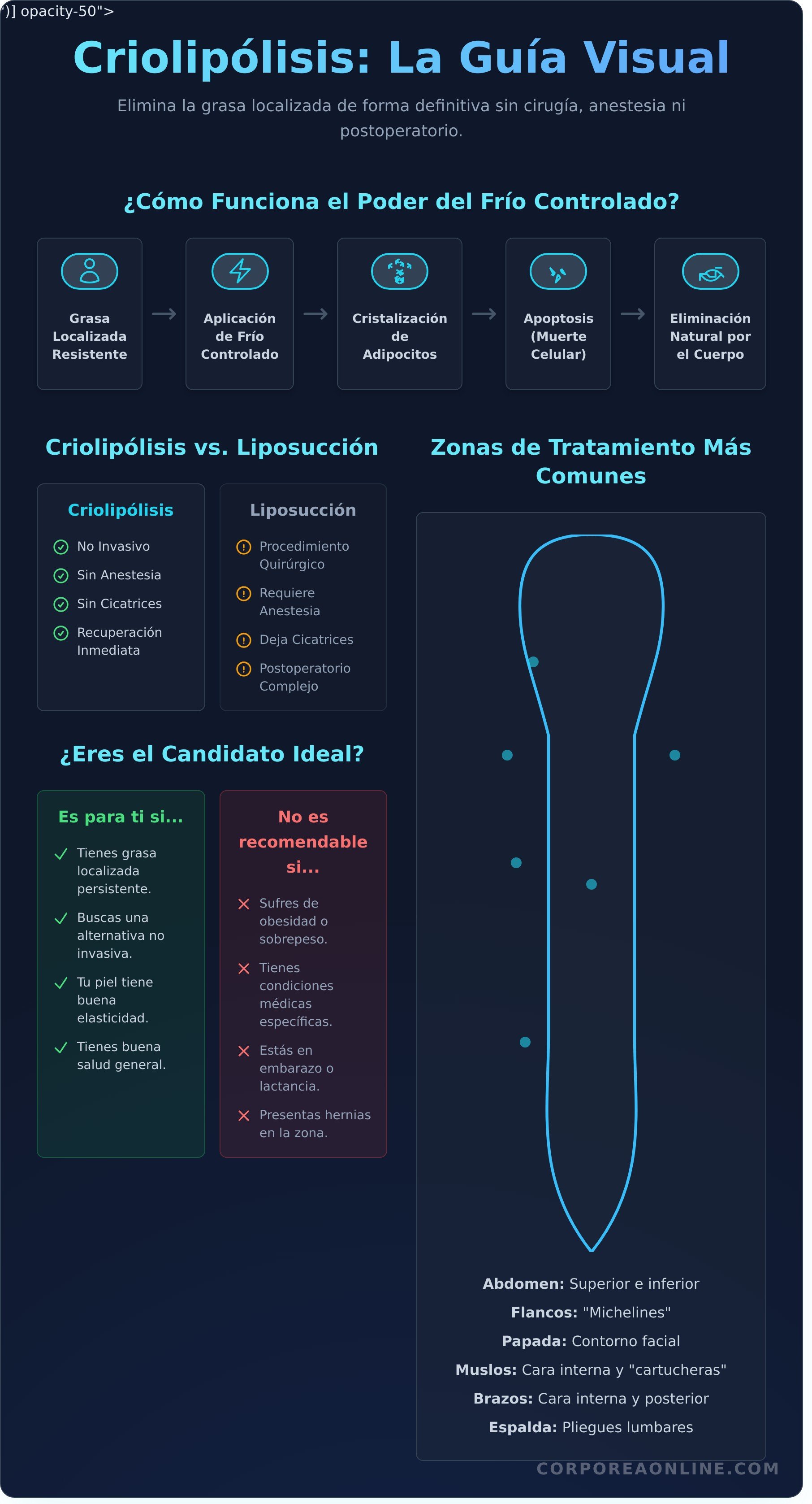 Criolipolisis infographic - visual guide