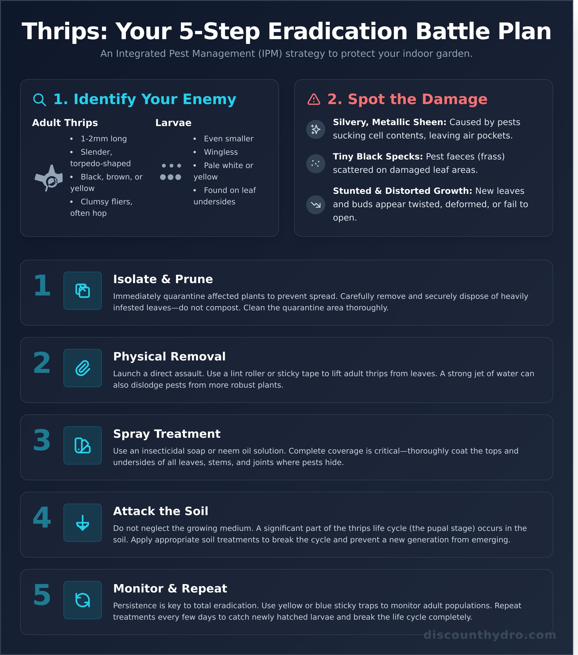 Thrips infographic - visual guide