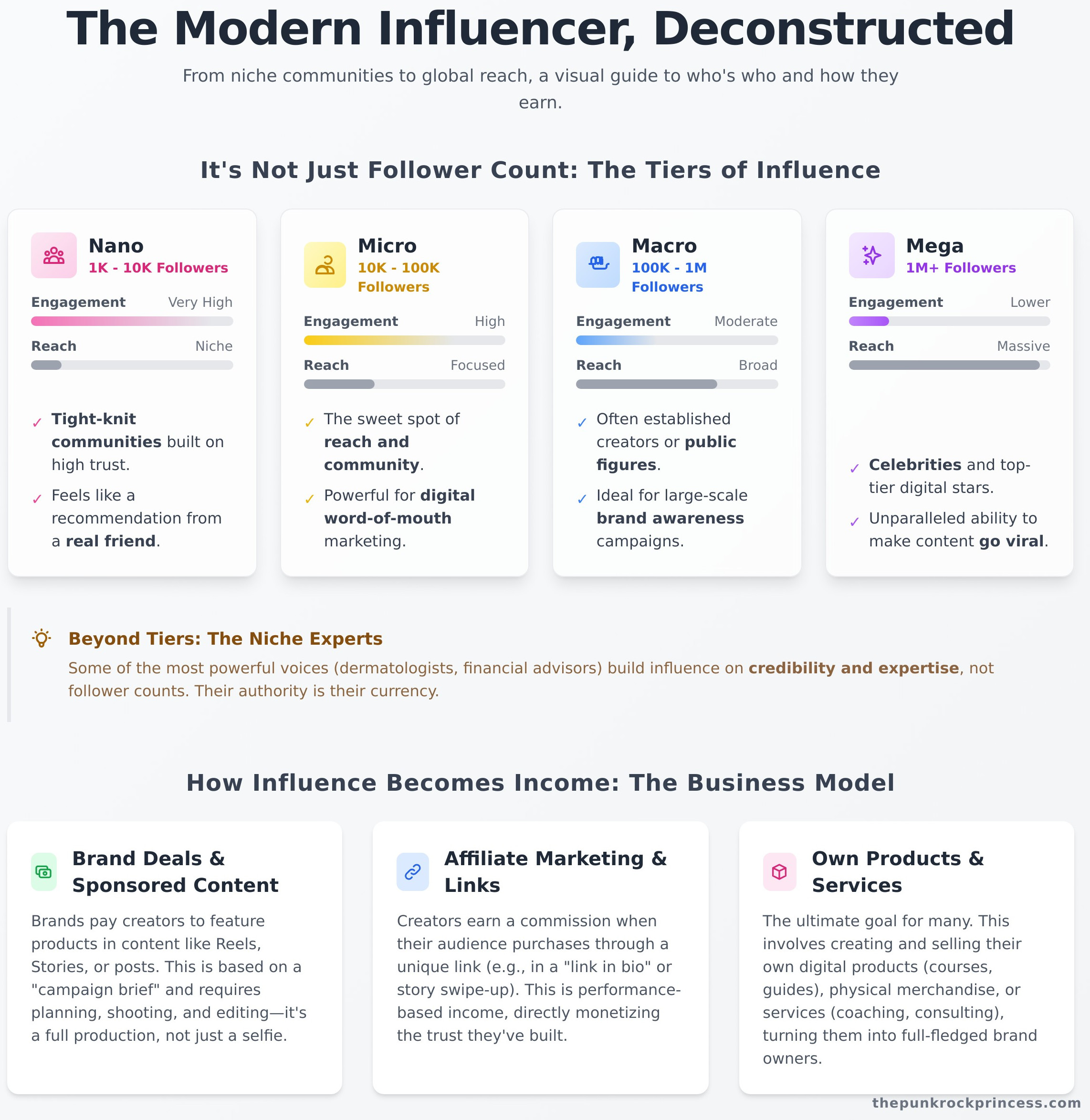 What does influencer mean infographic - visual guide