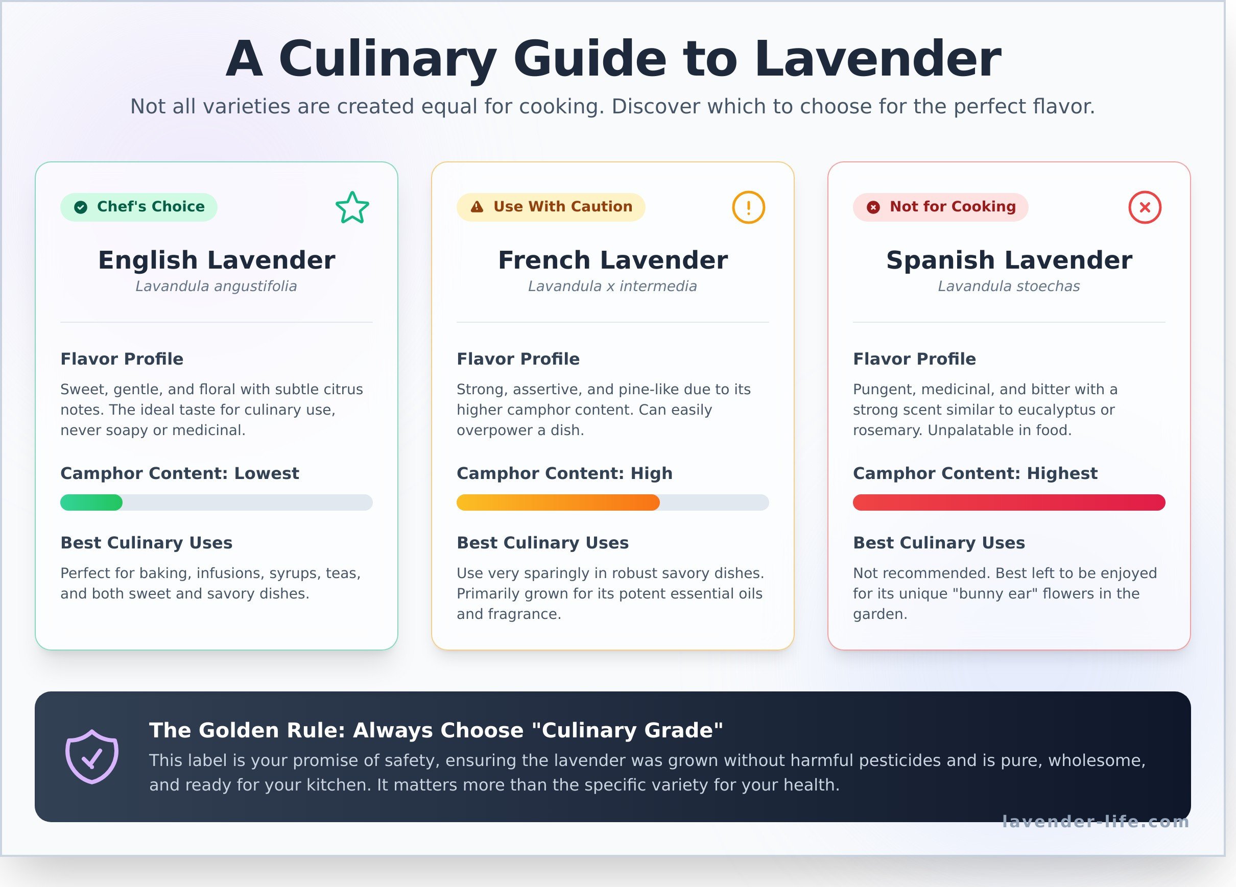 Is all lavender edible infographic - visual guide