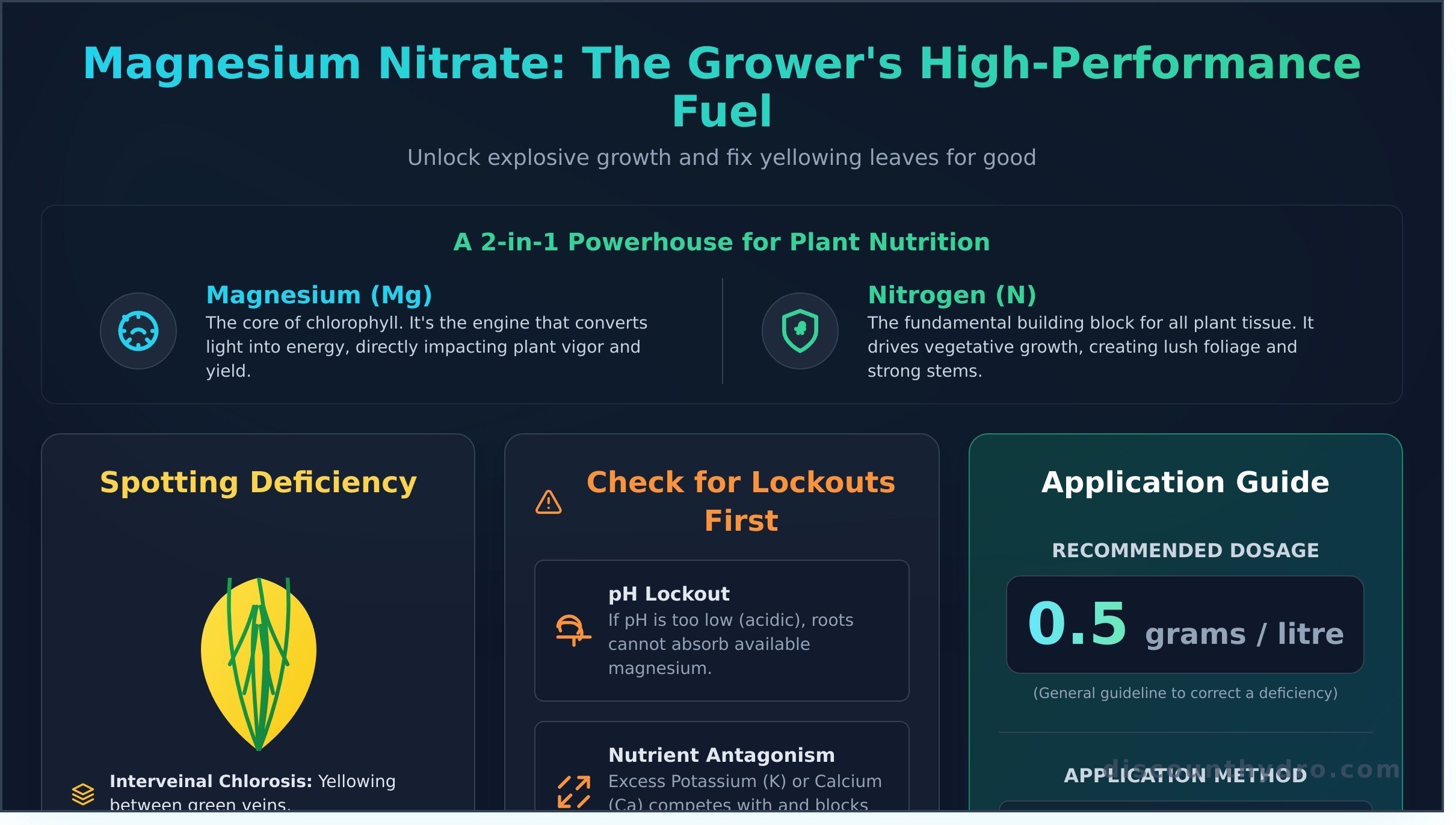 Magnesium nitrate infographic - visual guide
