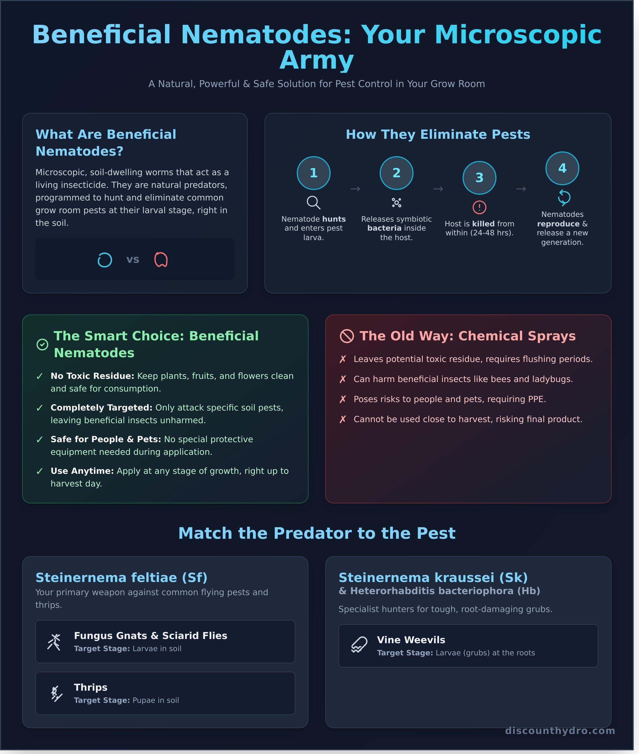 Nematodes infographic - visual guide