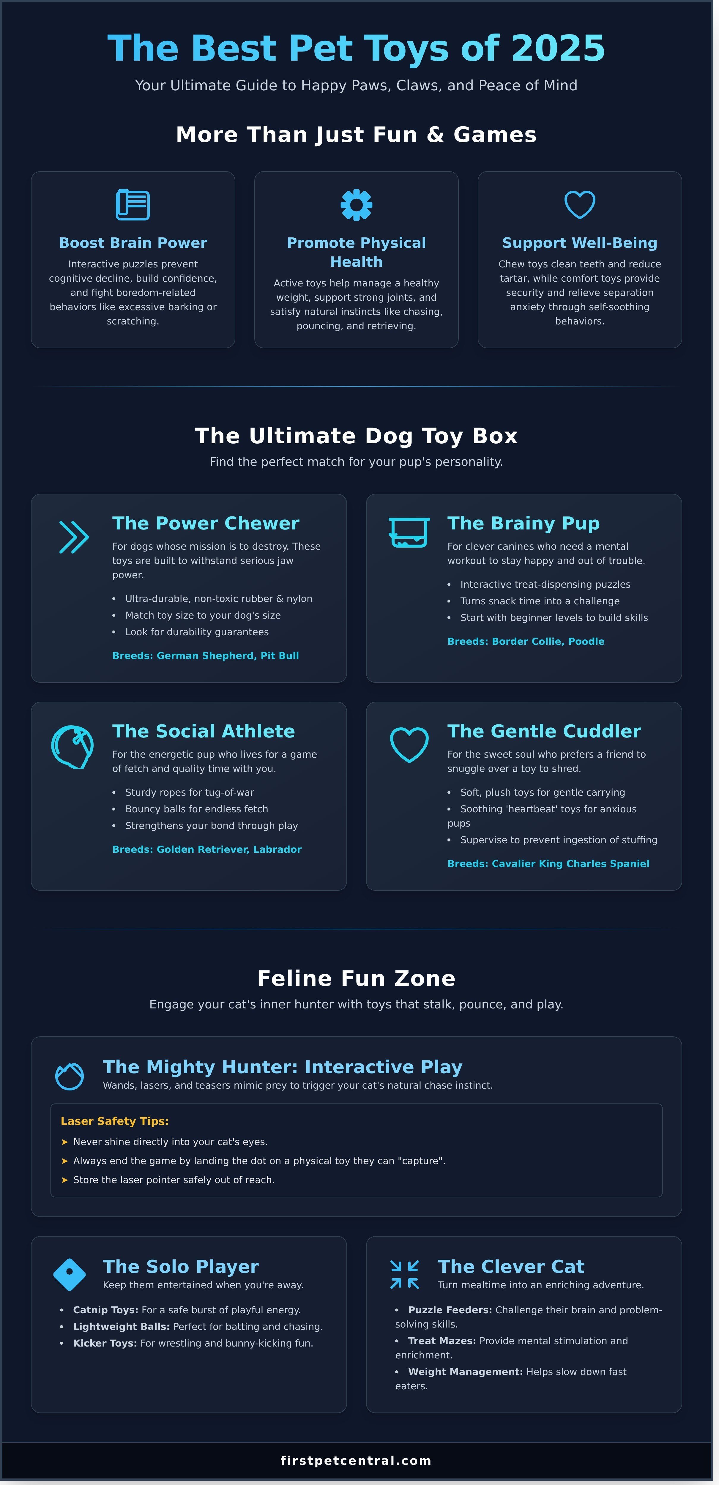 Best pet toys infographic - visual guide