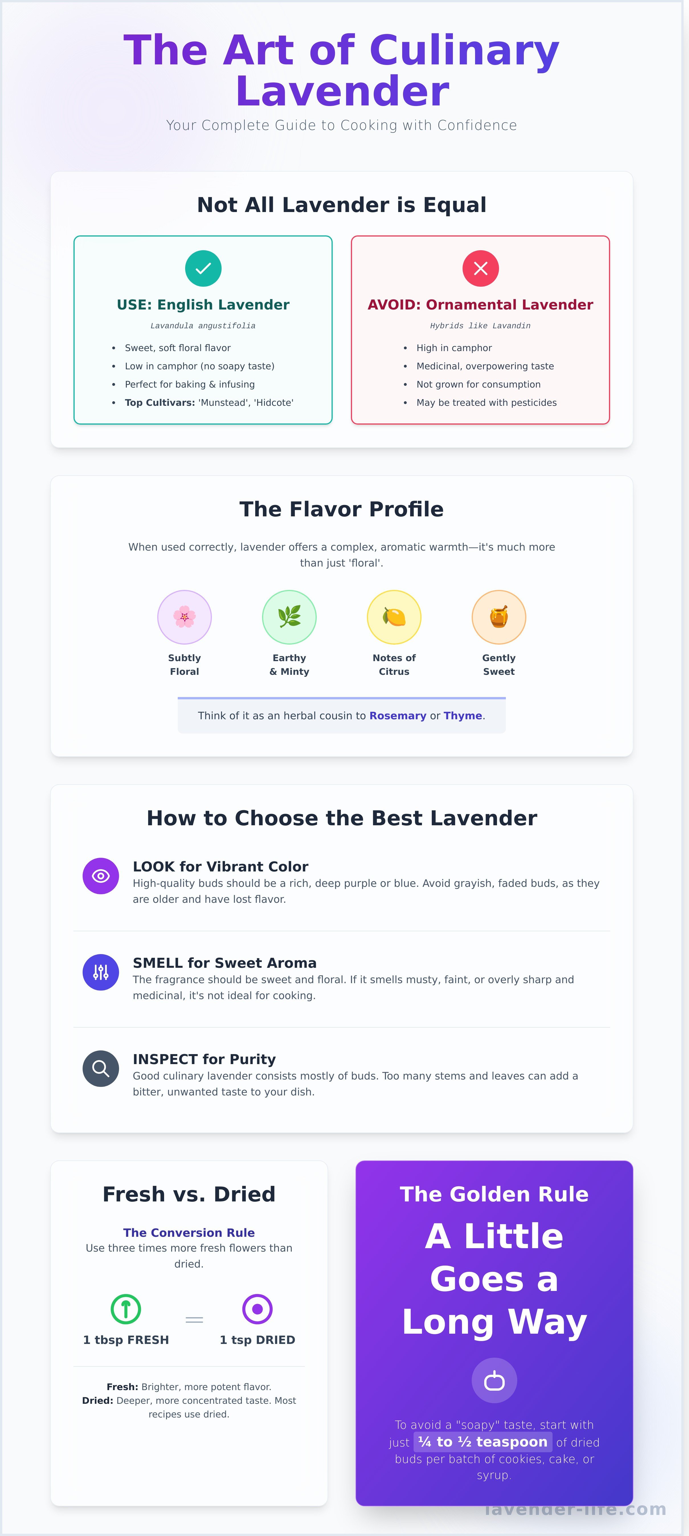 Edible lavender flowers infographic - visual guide
