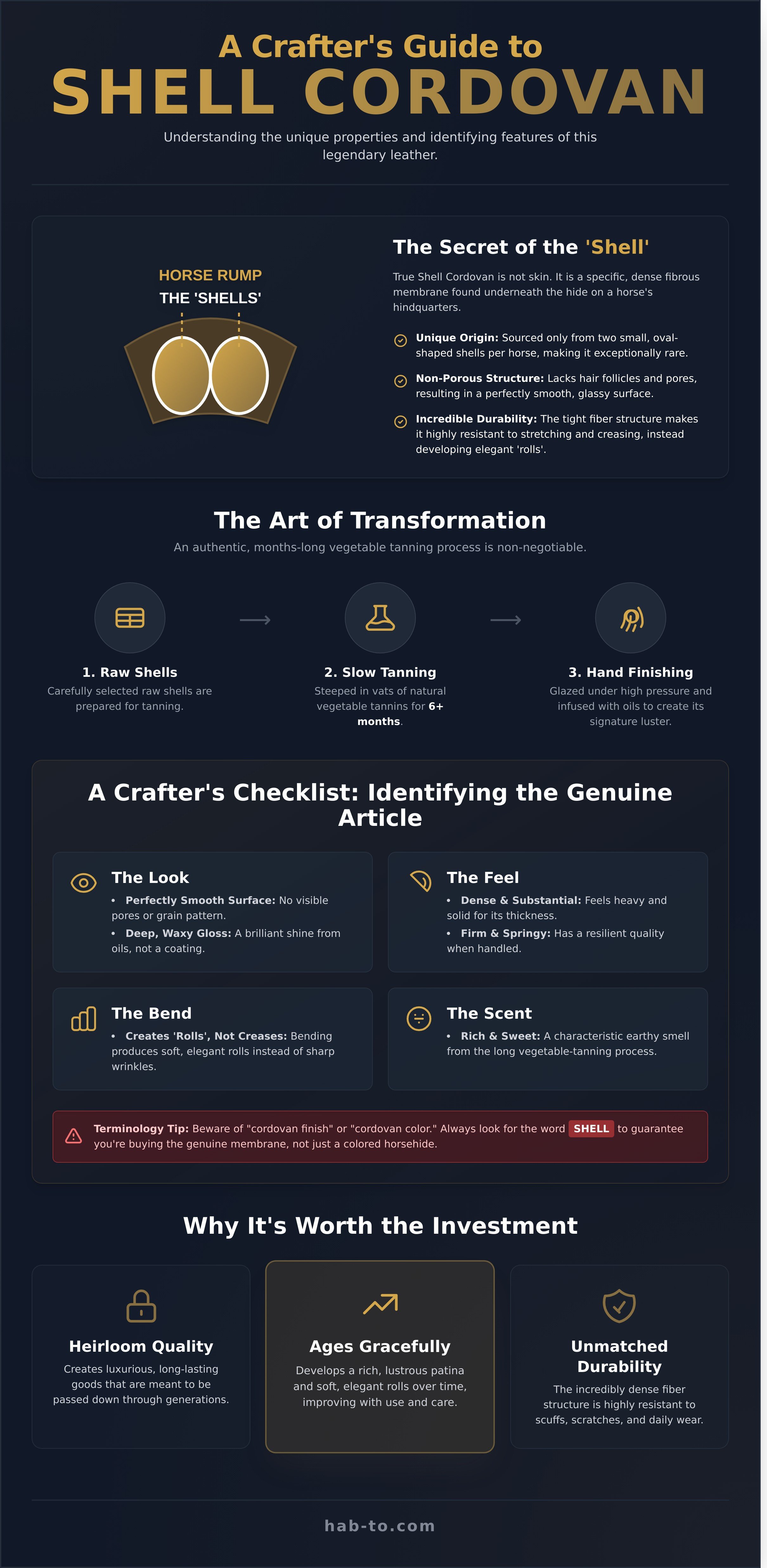 Leather cordovan infographic - visual guide