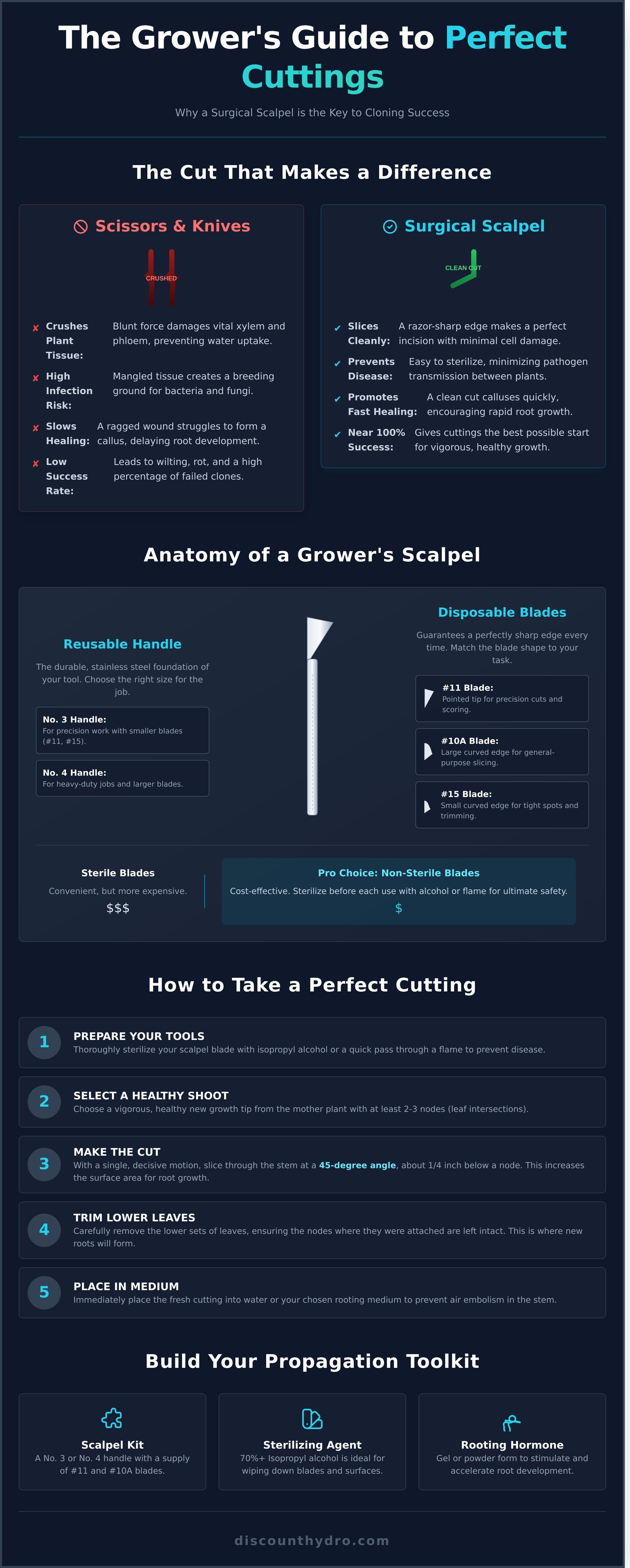 Scalpel infographic - visual guide
