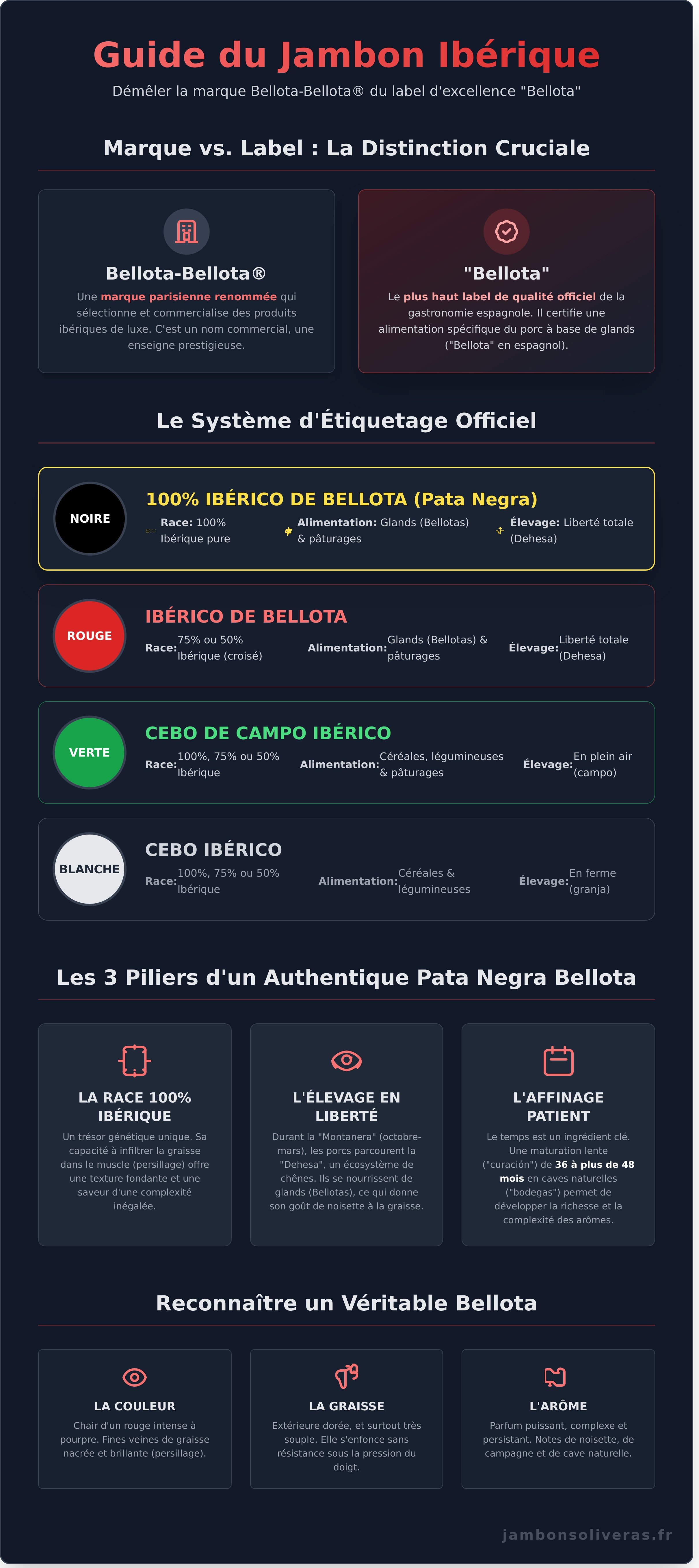 Bellota bellota infographic - visual guide