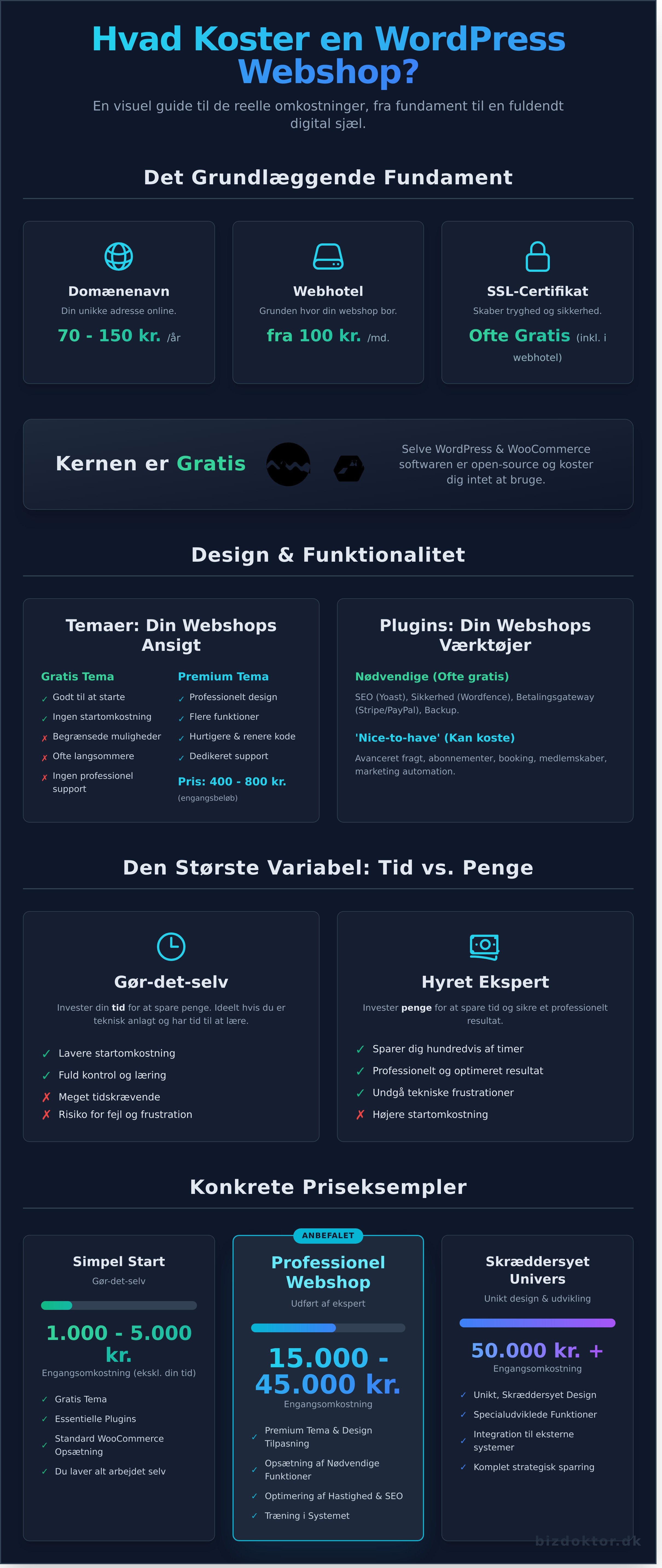 Wordpress webshop pris infographic - visual guide