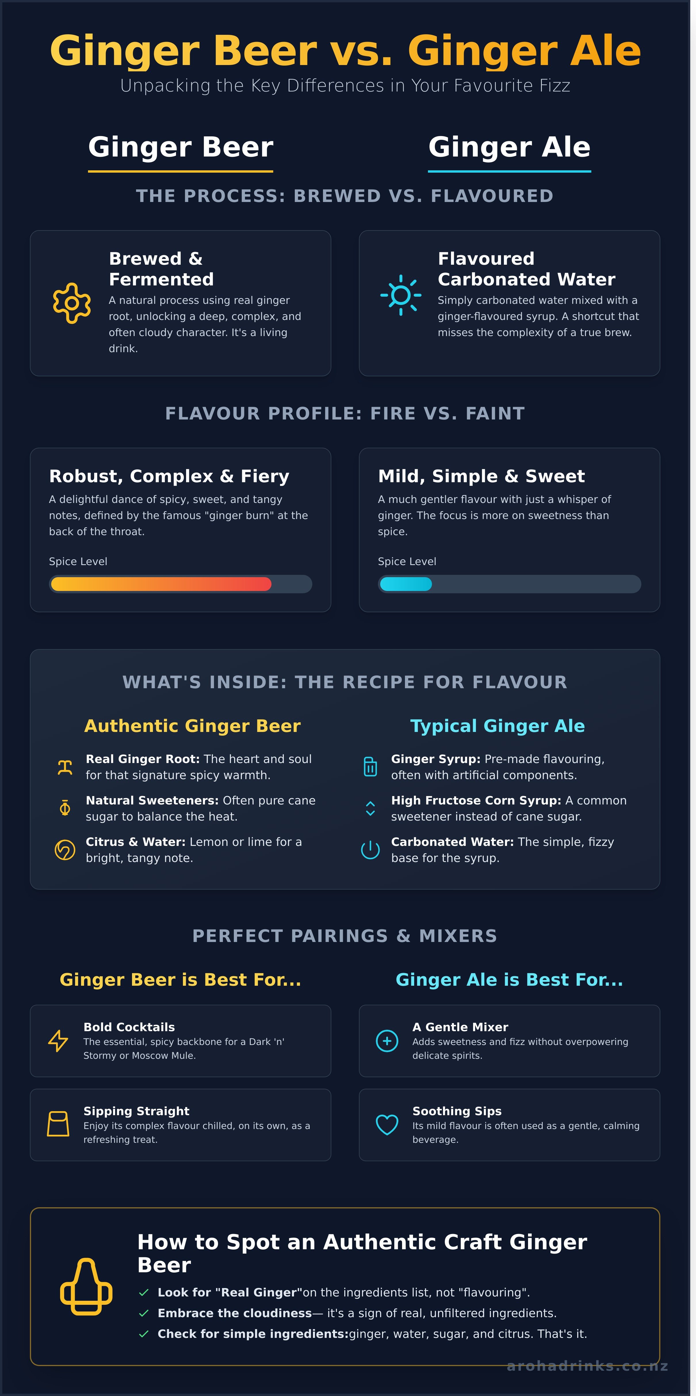 Ginger beer infographic - visual guide