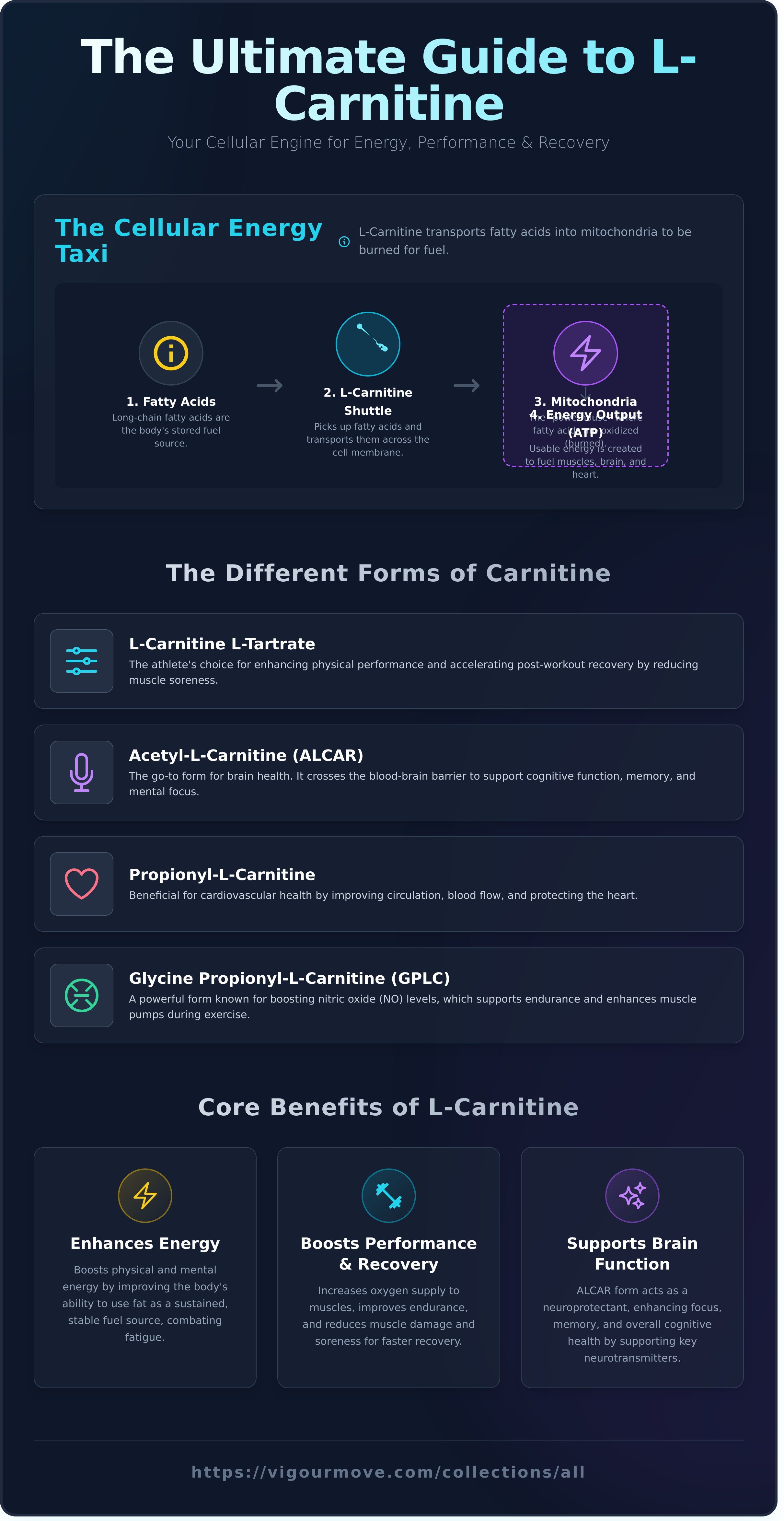L carnitine