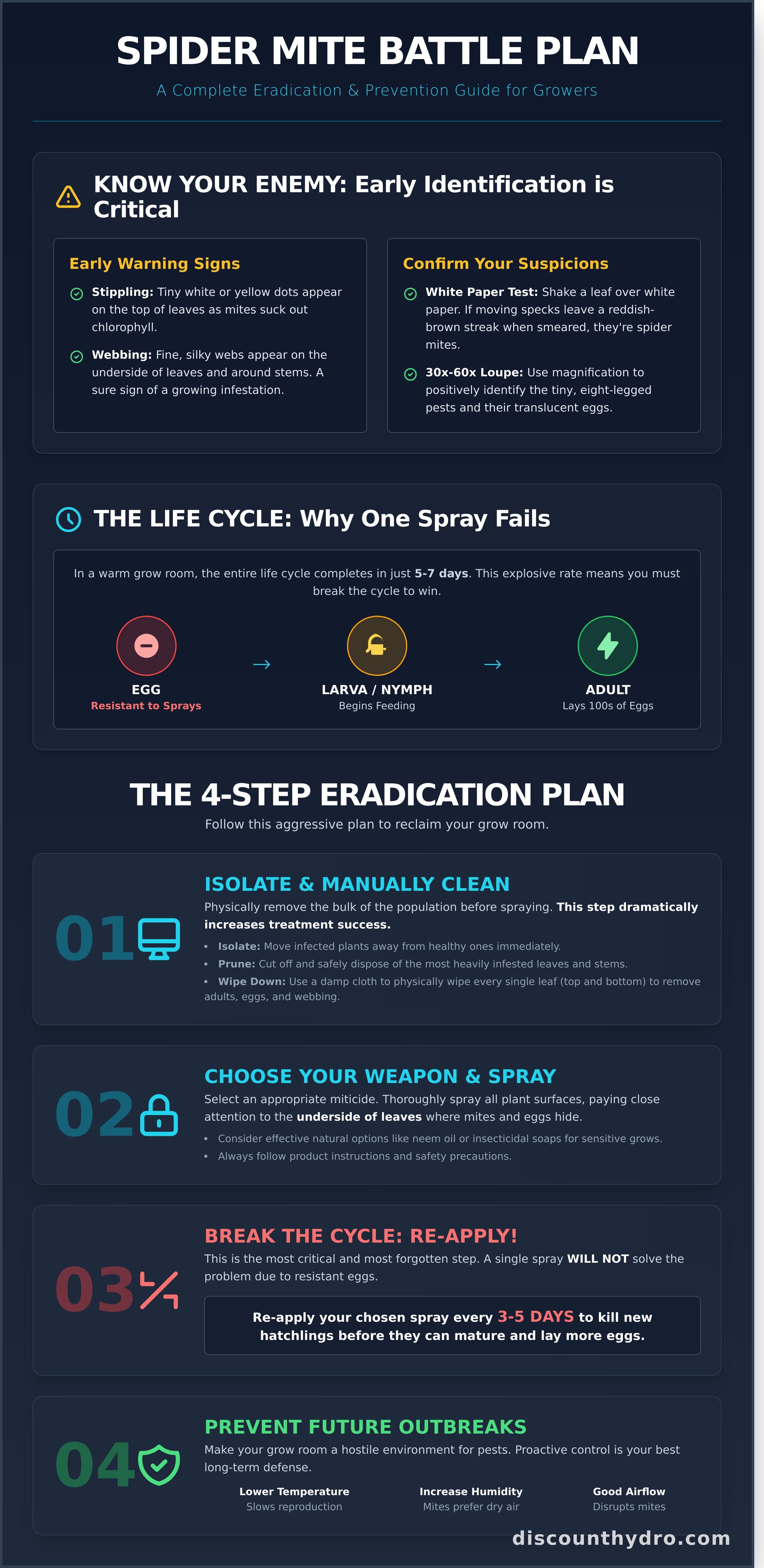 Spider mites infographic - visual guide