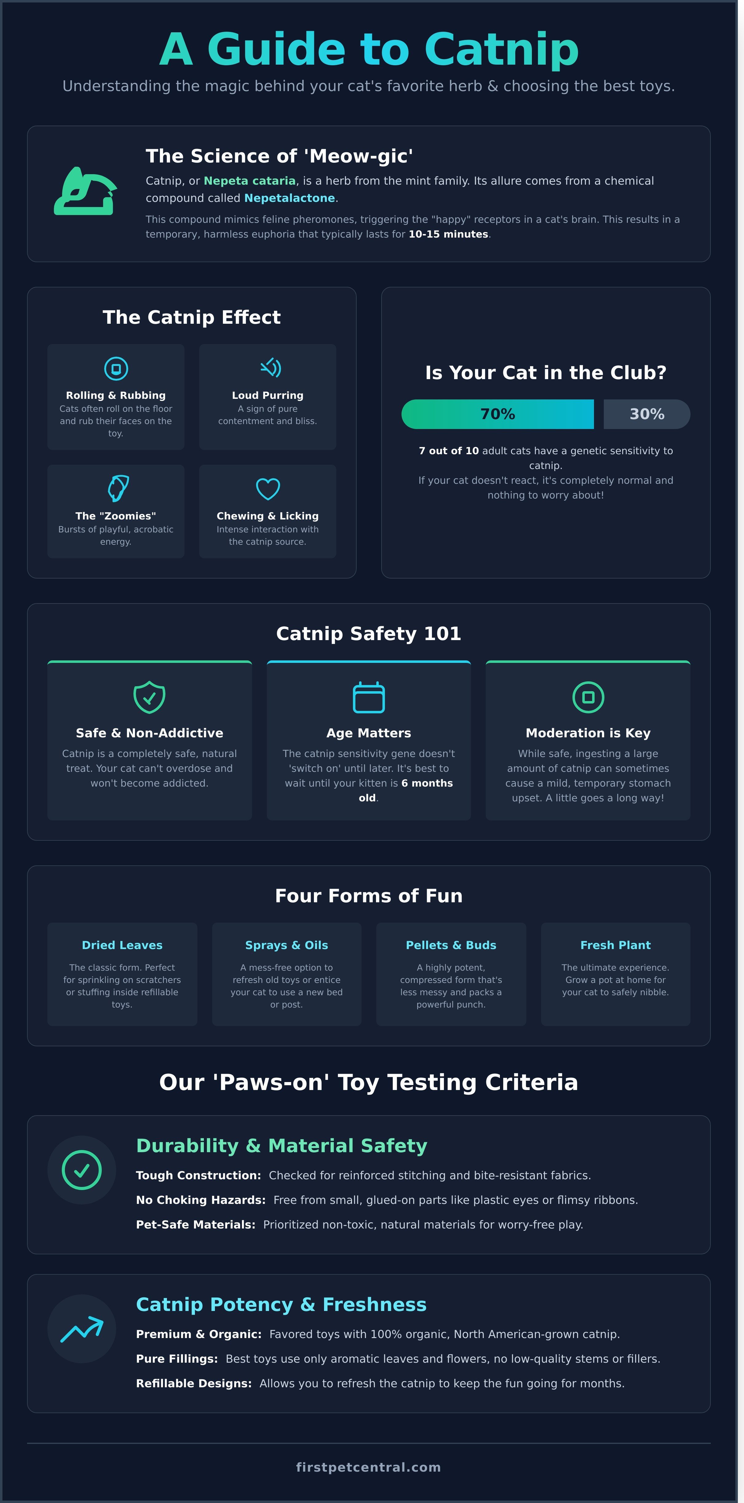 Best catnip toys infographic - visual guide