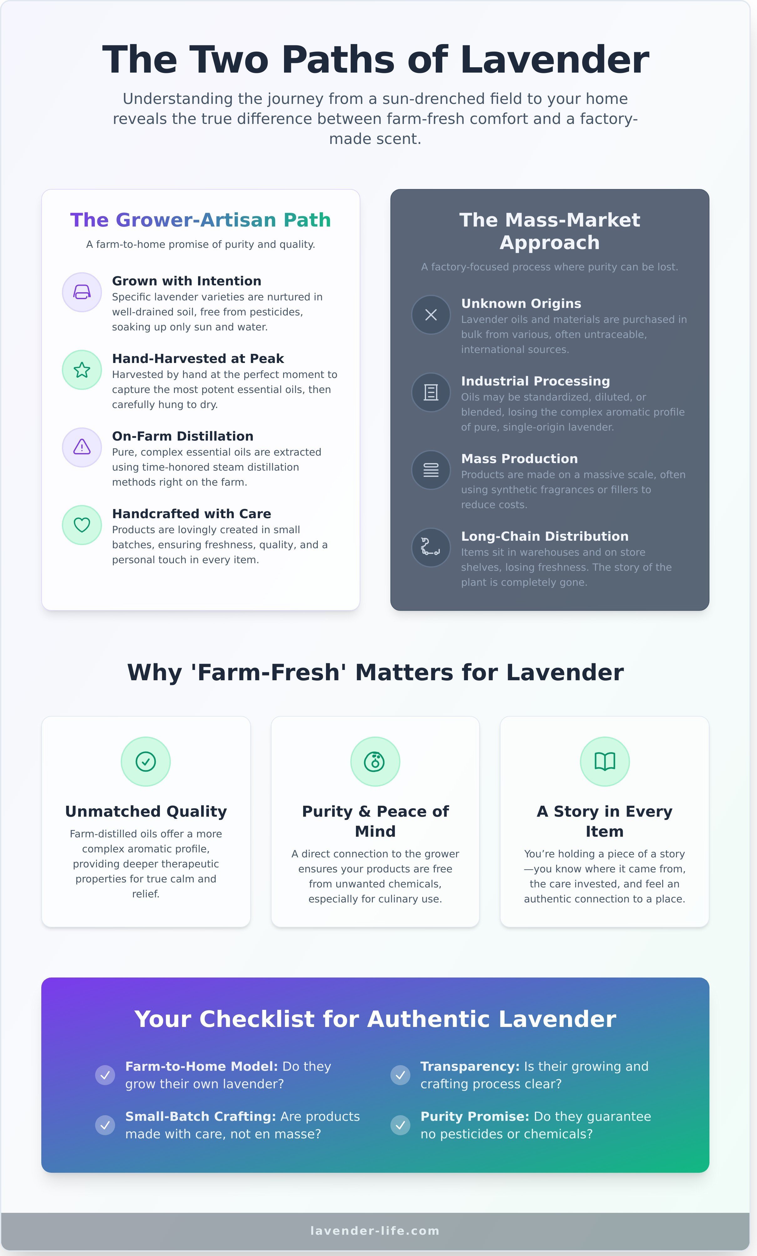Lavender company infographic - visual guide