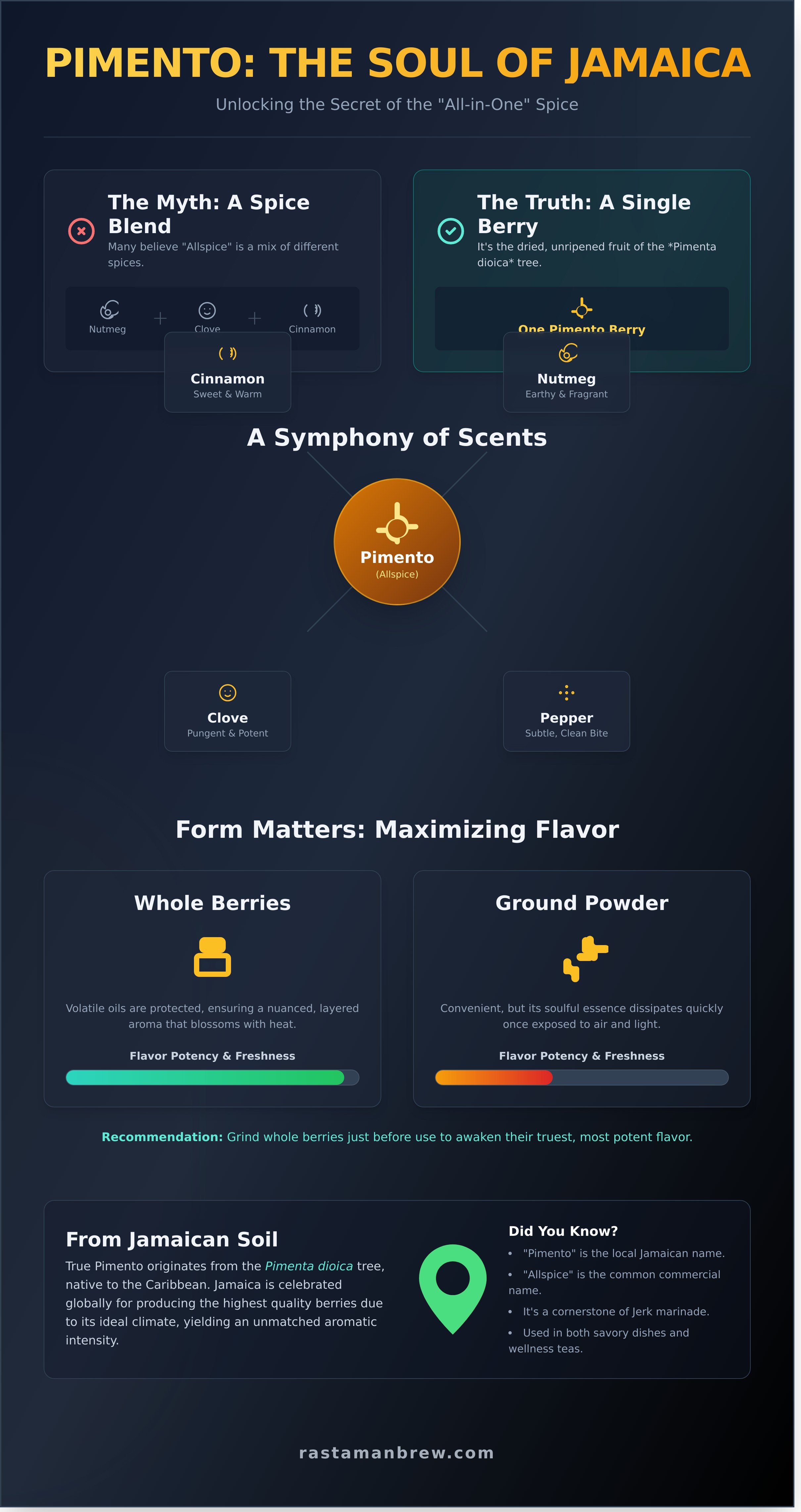 Pimento berries spice infographic - visual guide