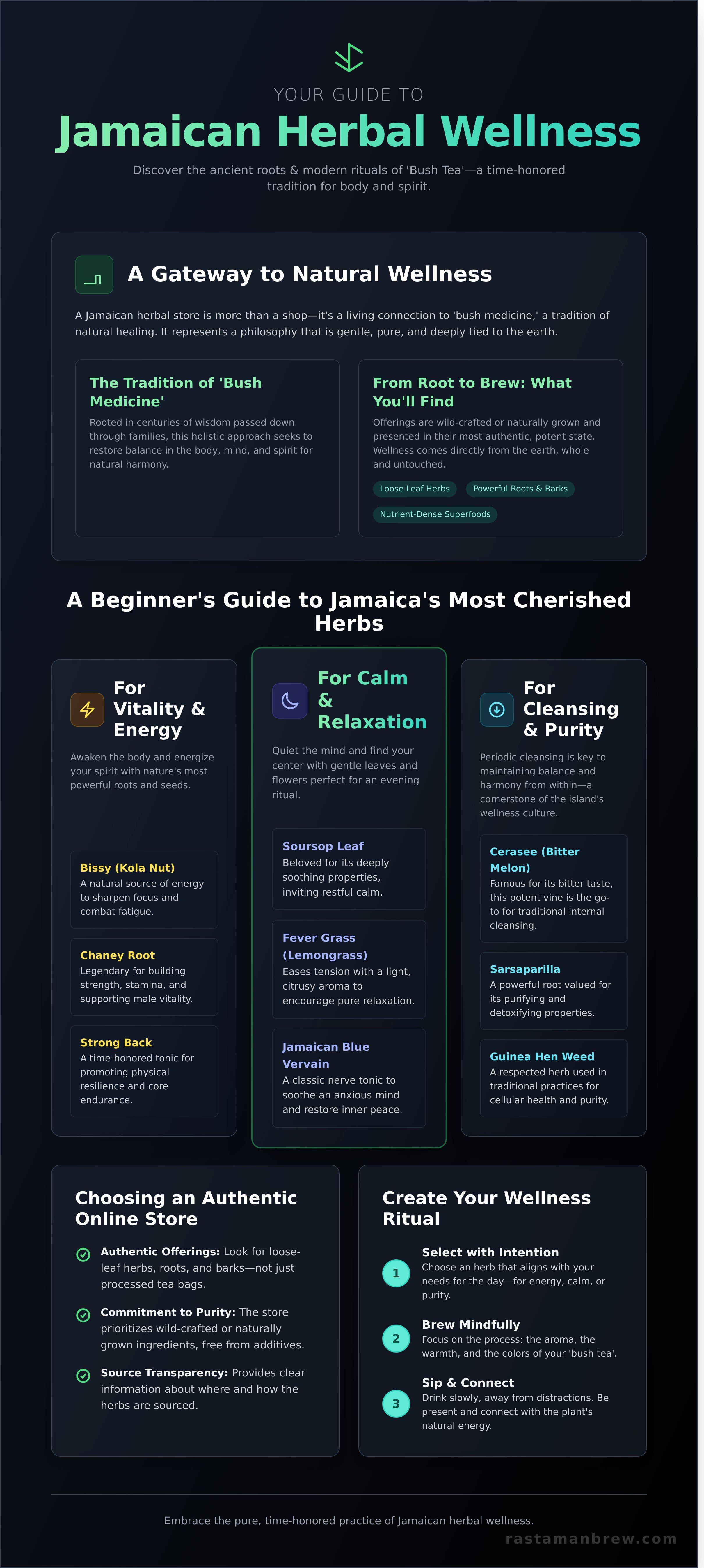 Jamaican herbal store infographic - visual guide