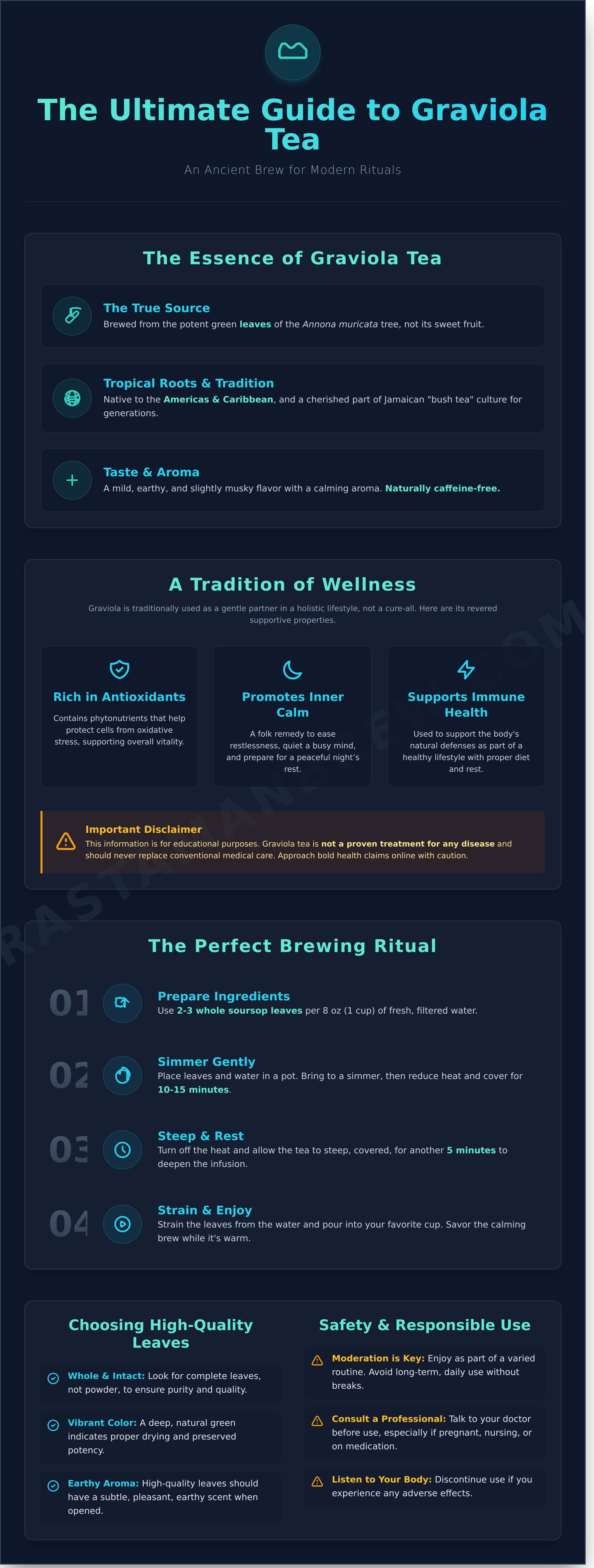 Graviola tea infographic - visual guide