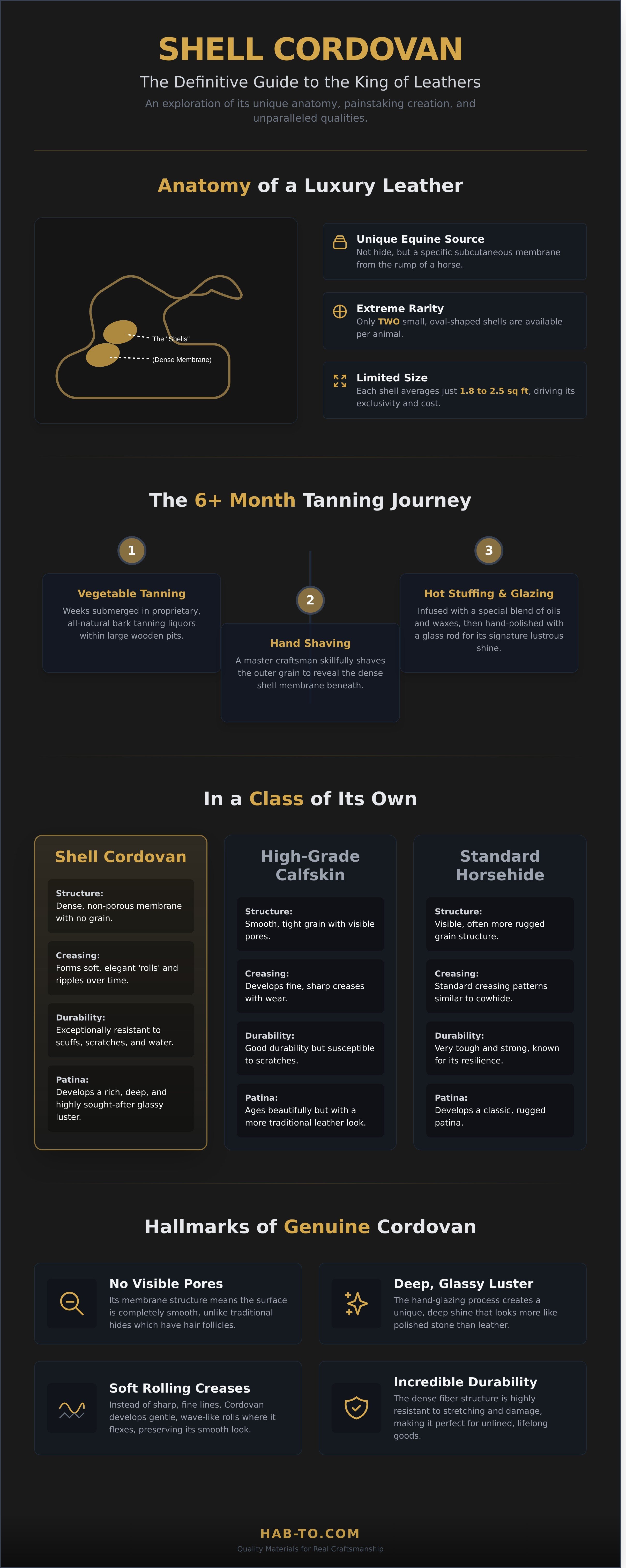 Shell cordovan infographic - visual guide