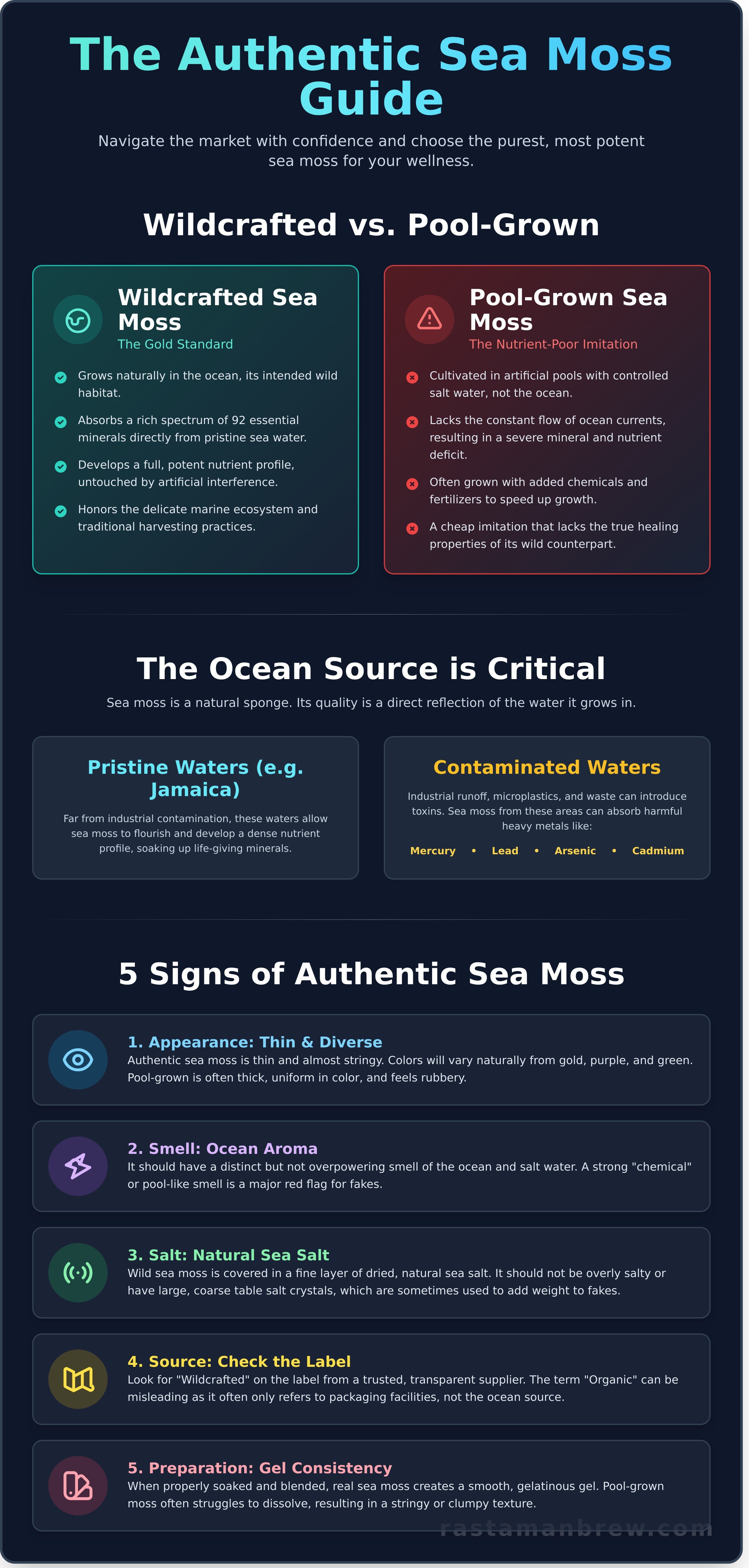 Organic sea moss infographic - visual guide