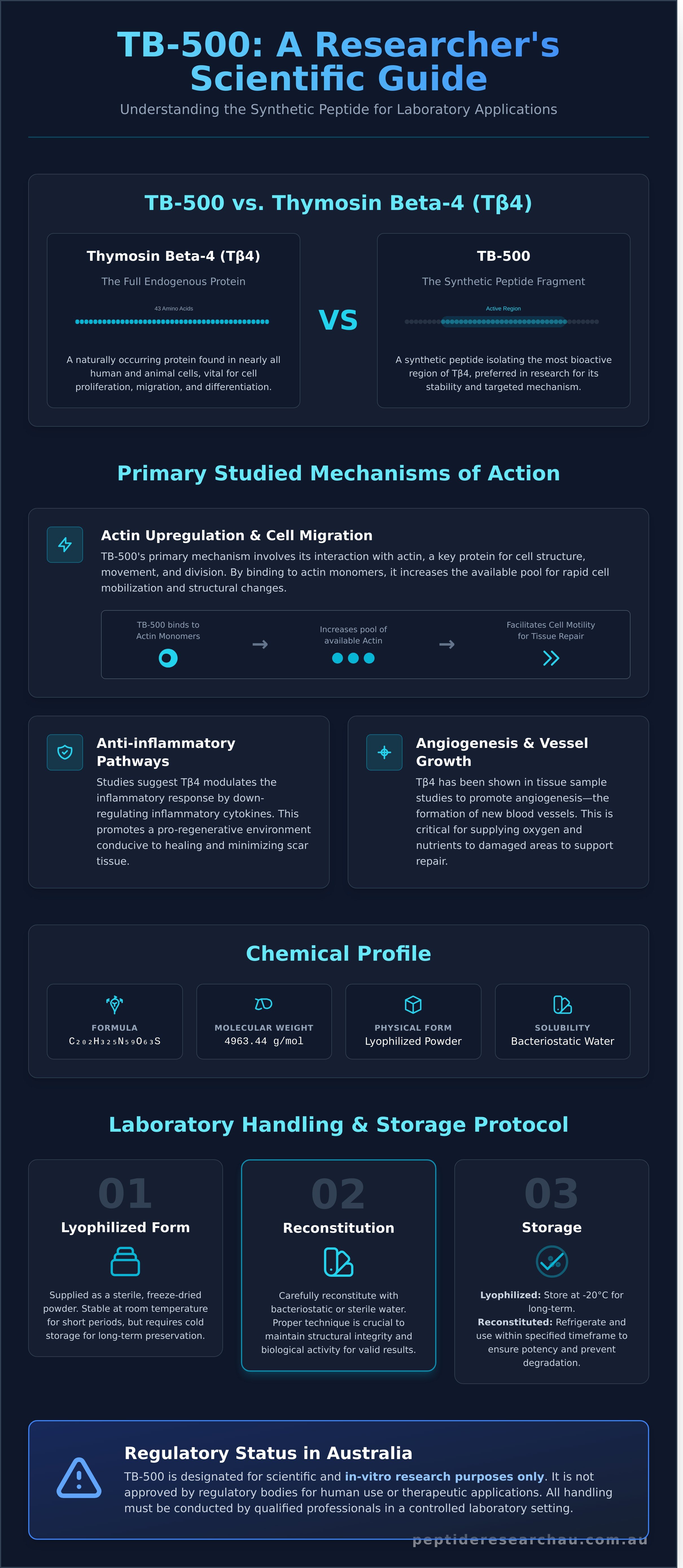 Tb500 infographic - visual guide