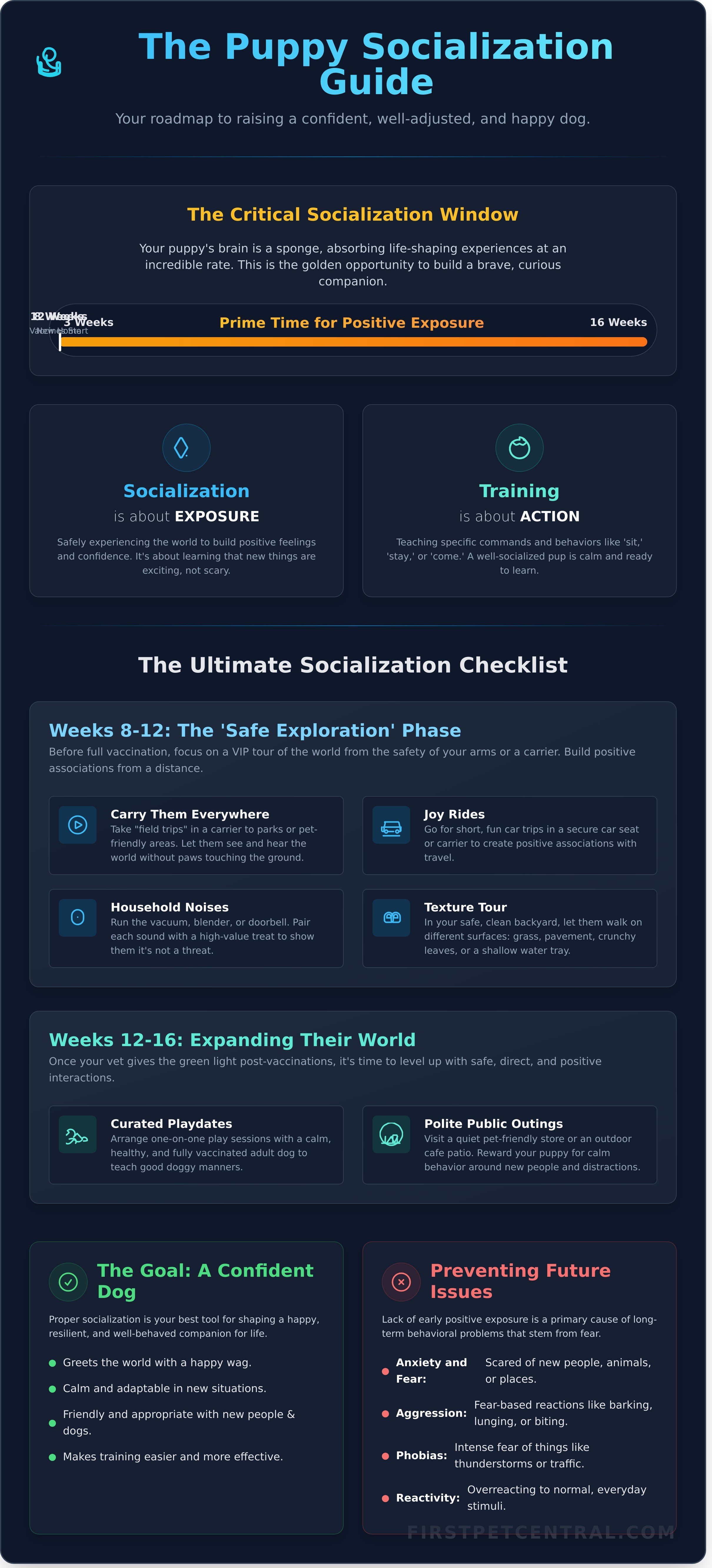 Puppy socialization tips infographic - visual guide