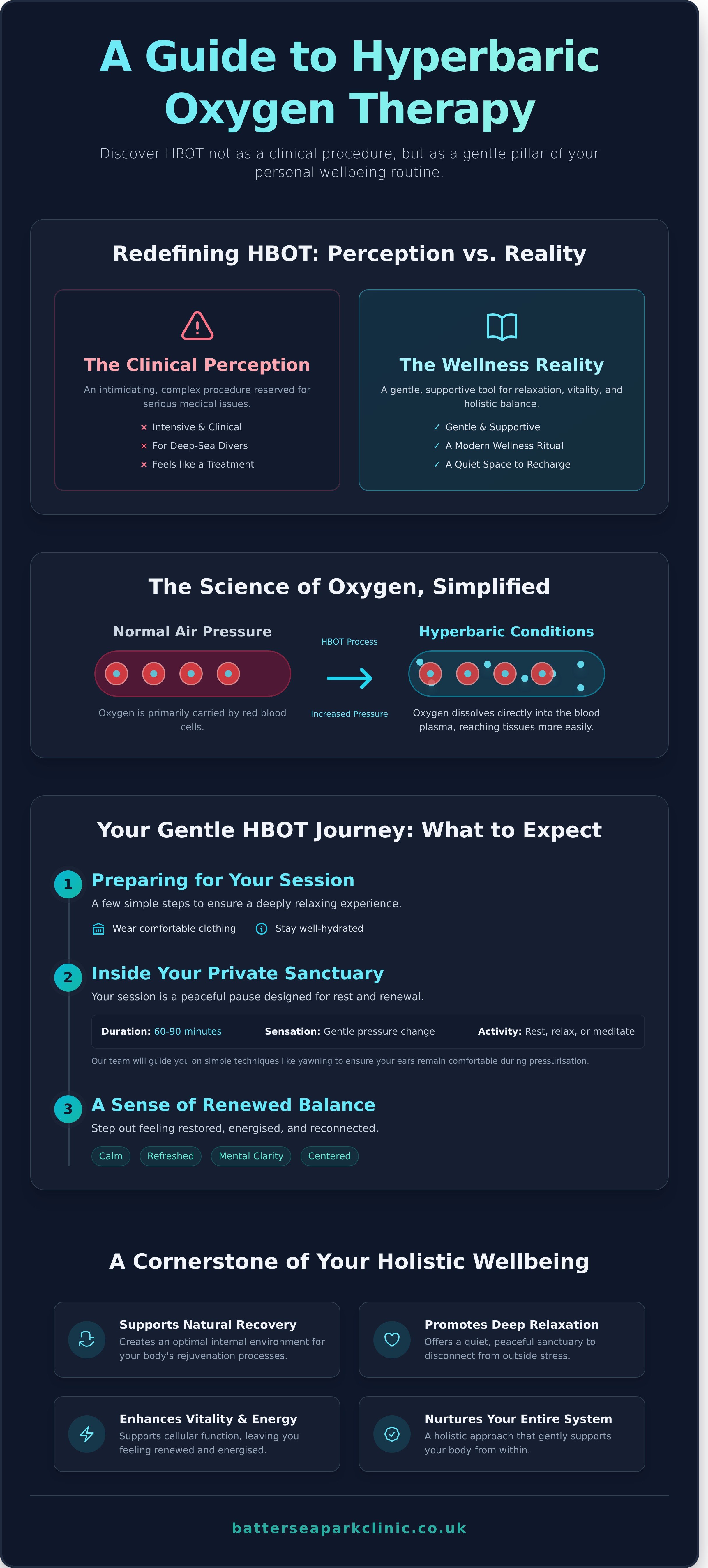 Hbot infographic - visual guide