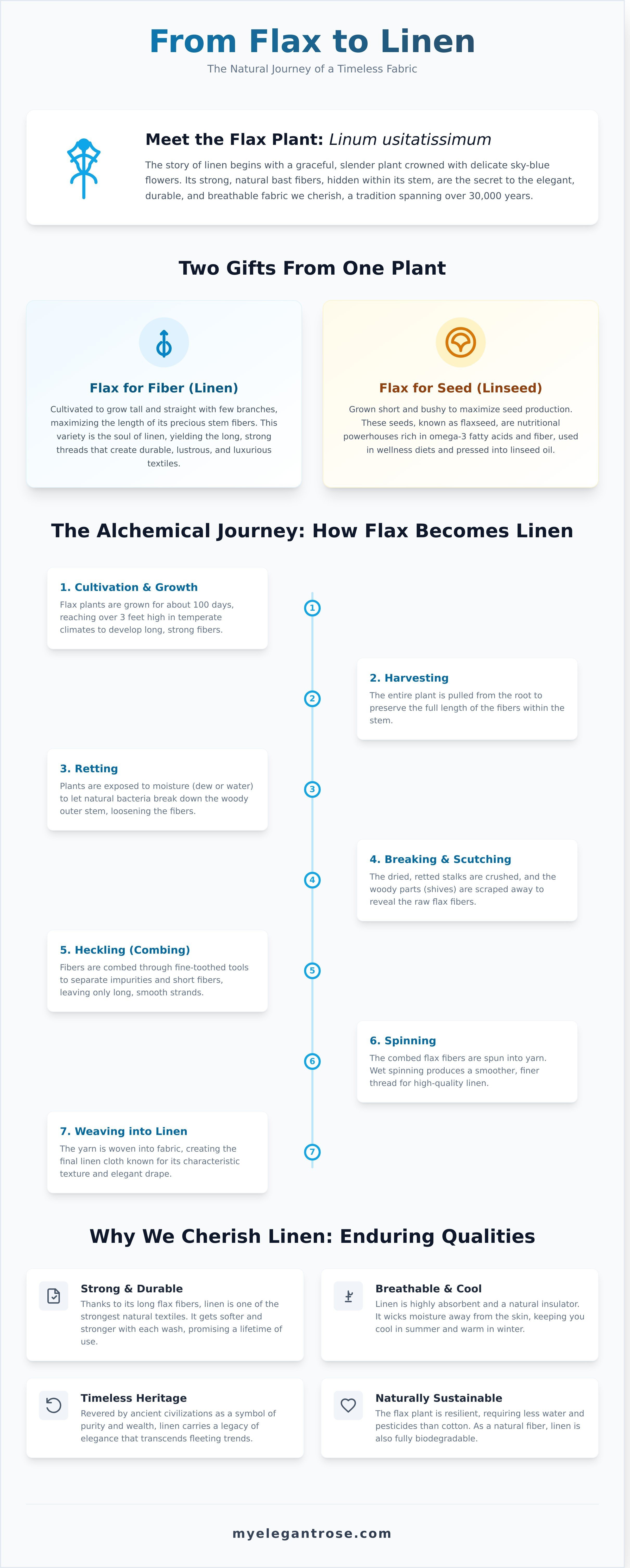 What is flax infographic - visual guide