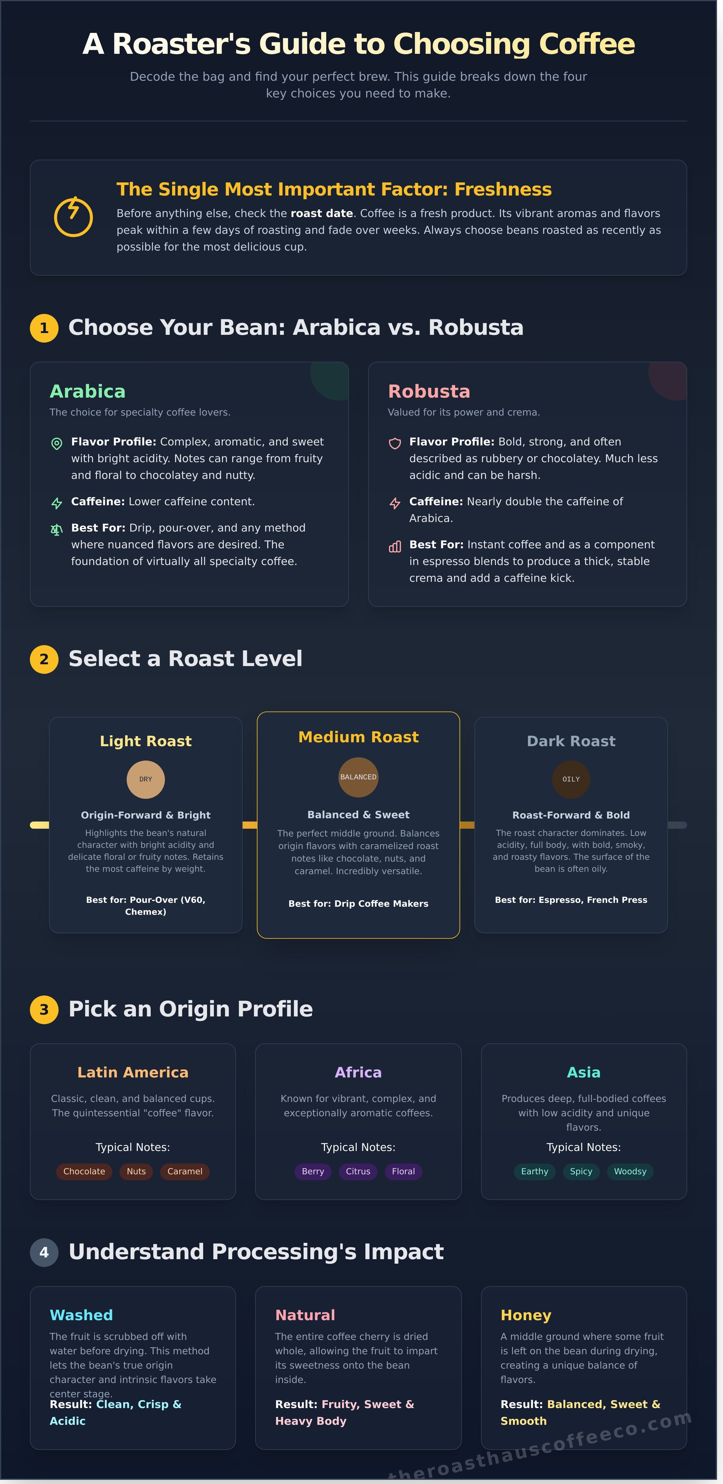 Coffee beans infographic - visual guide