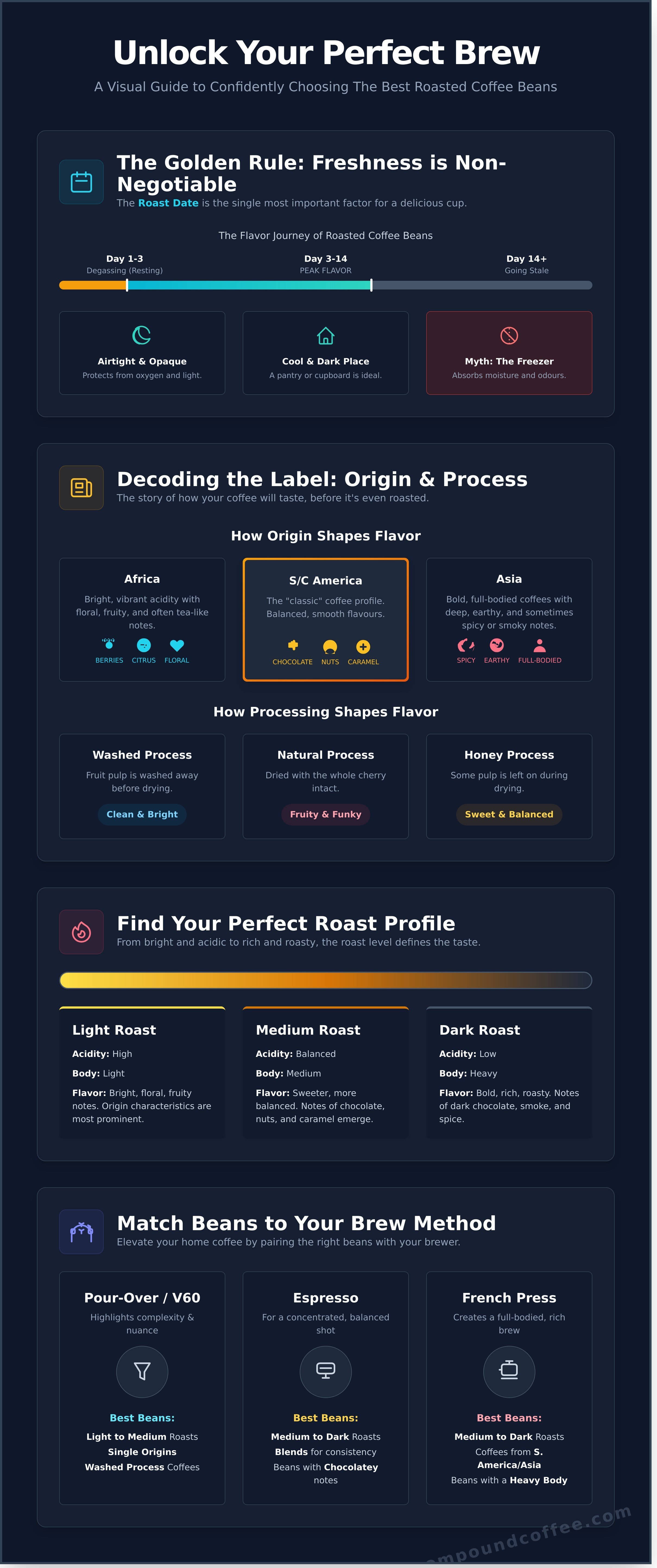 Roasted coffee beans infographic - visual guide