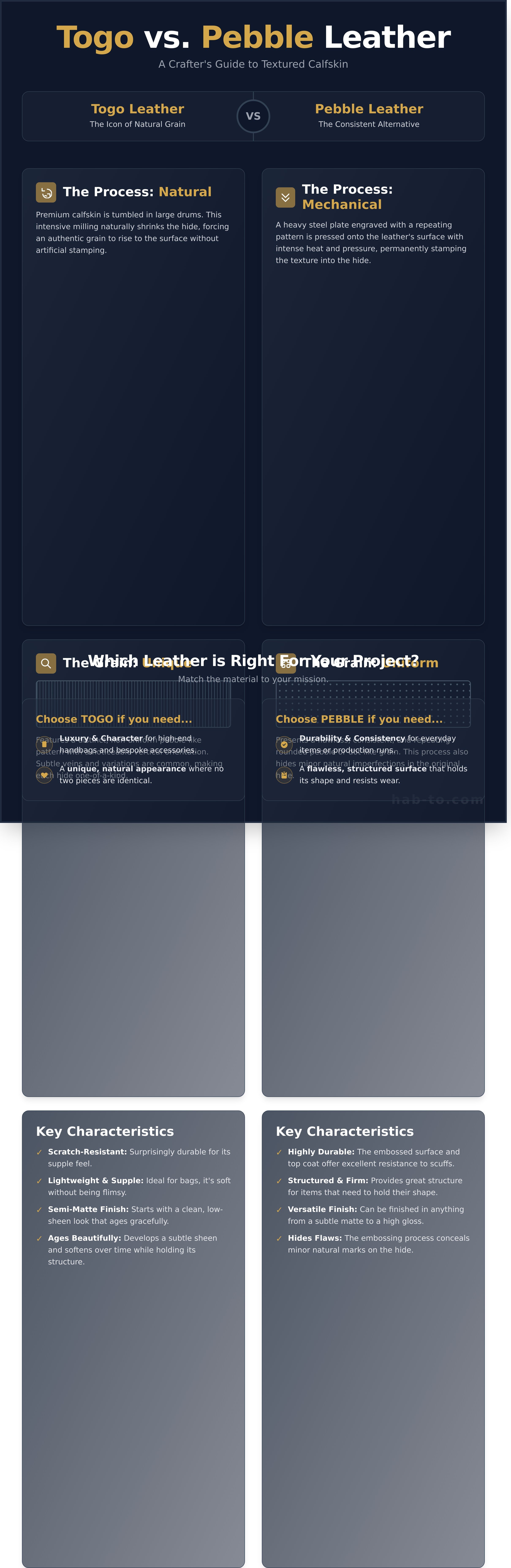 Togo leather infographic - visual guide