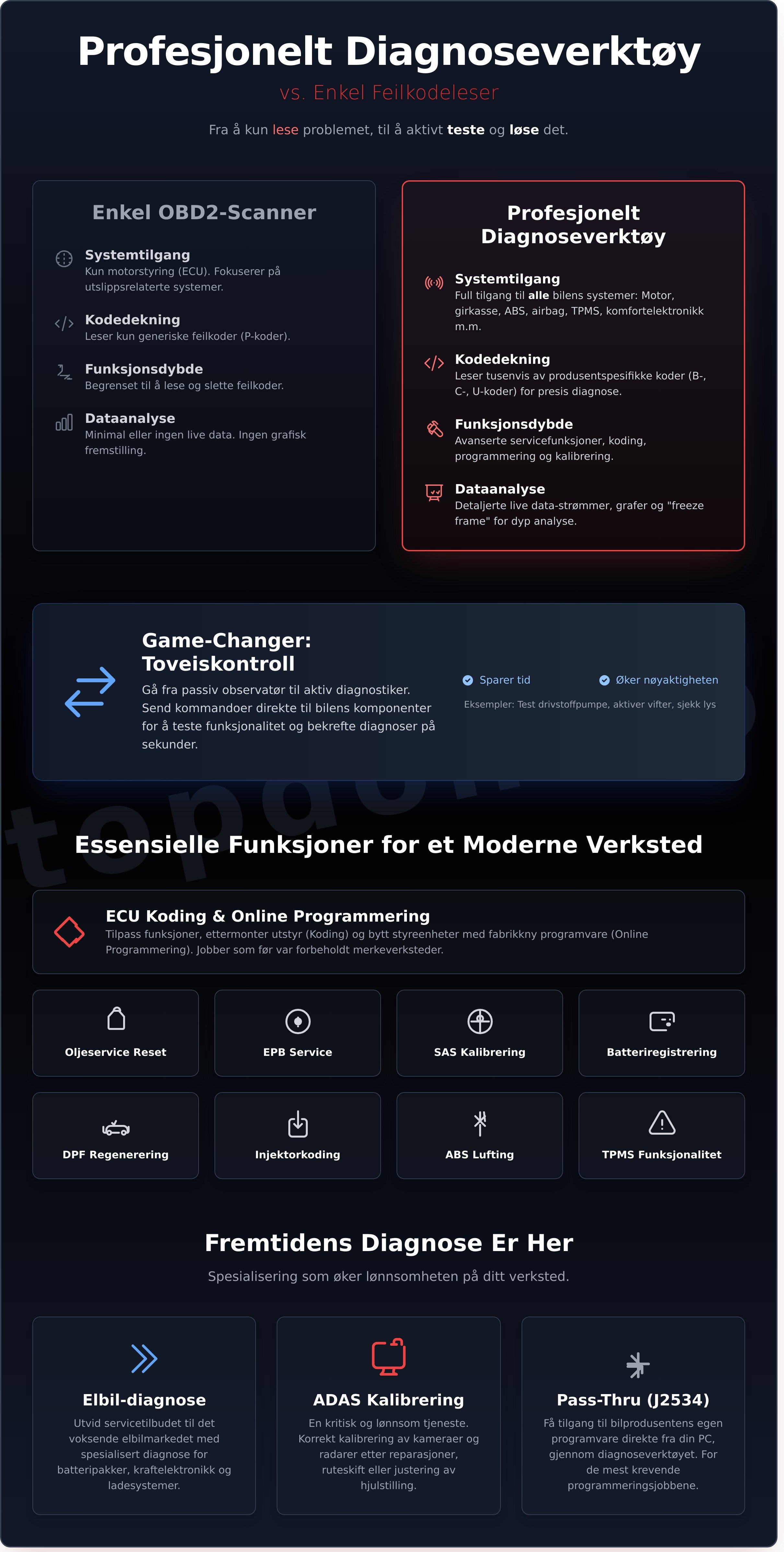 Profesjonelt diagnoseverktøy infographic - visual guide