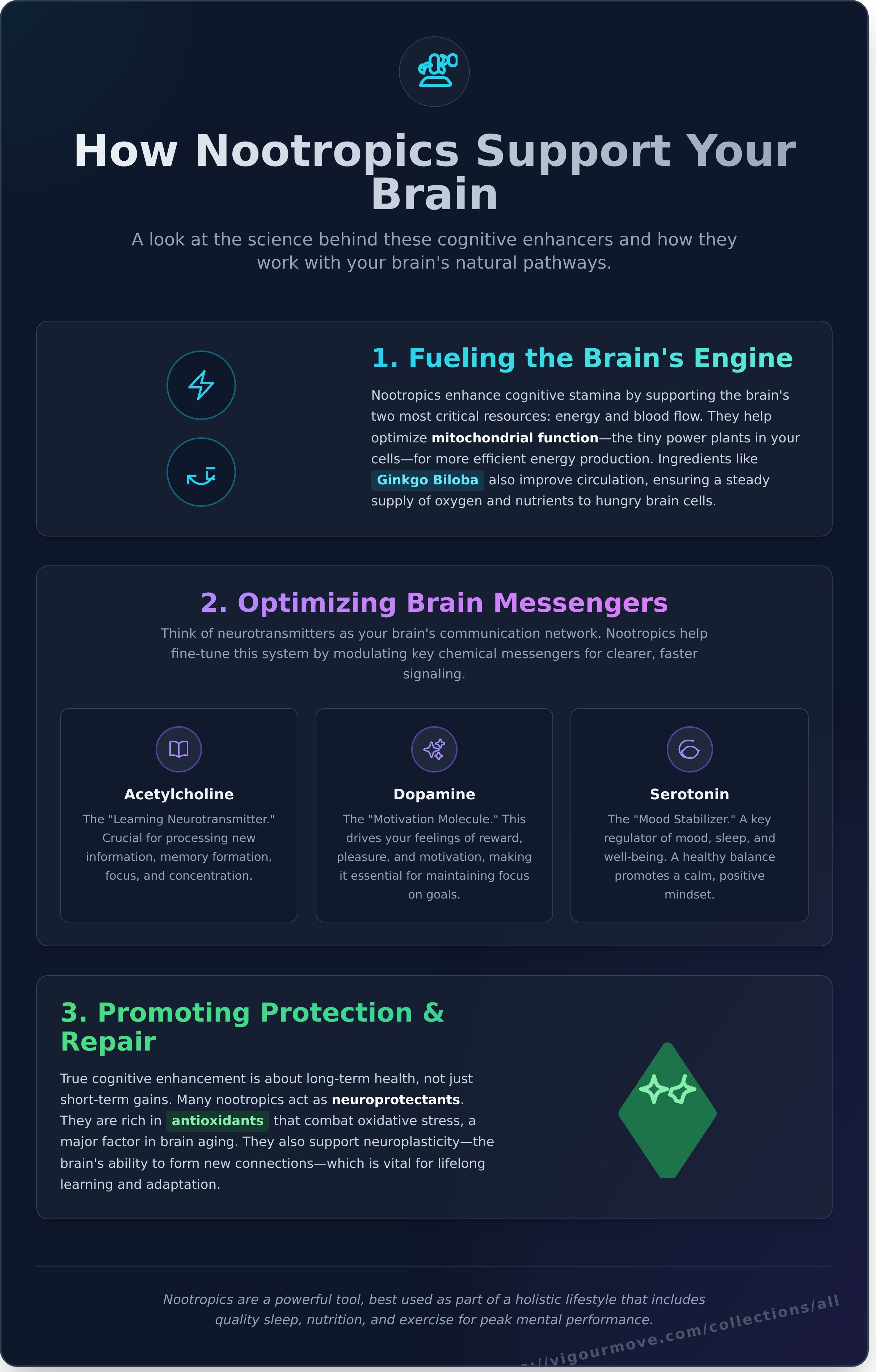 Nootropics supplements