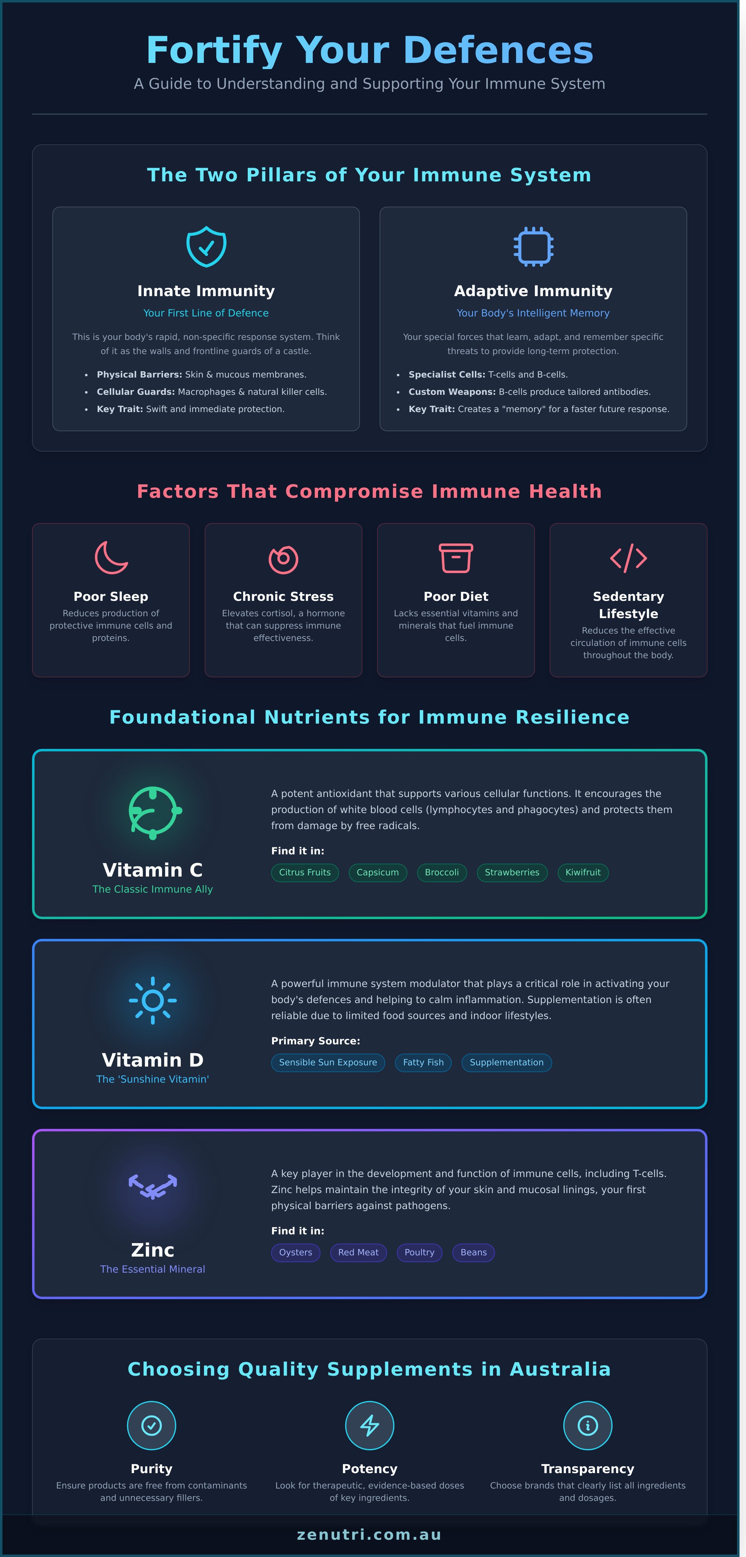 Natural immune support supplements infographic - visual guide