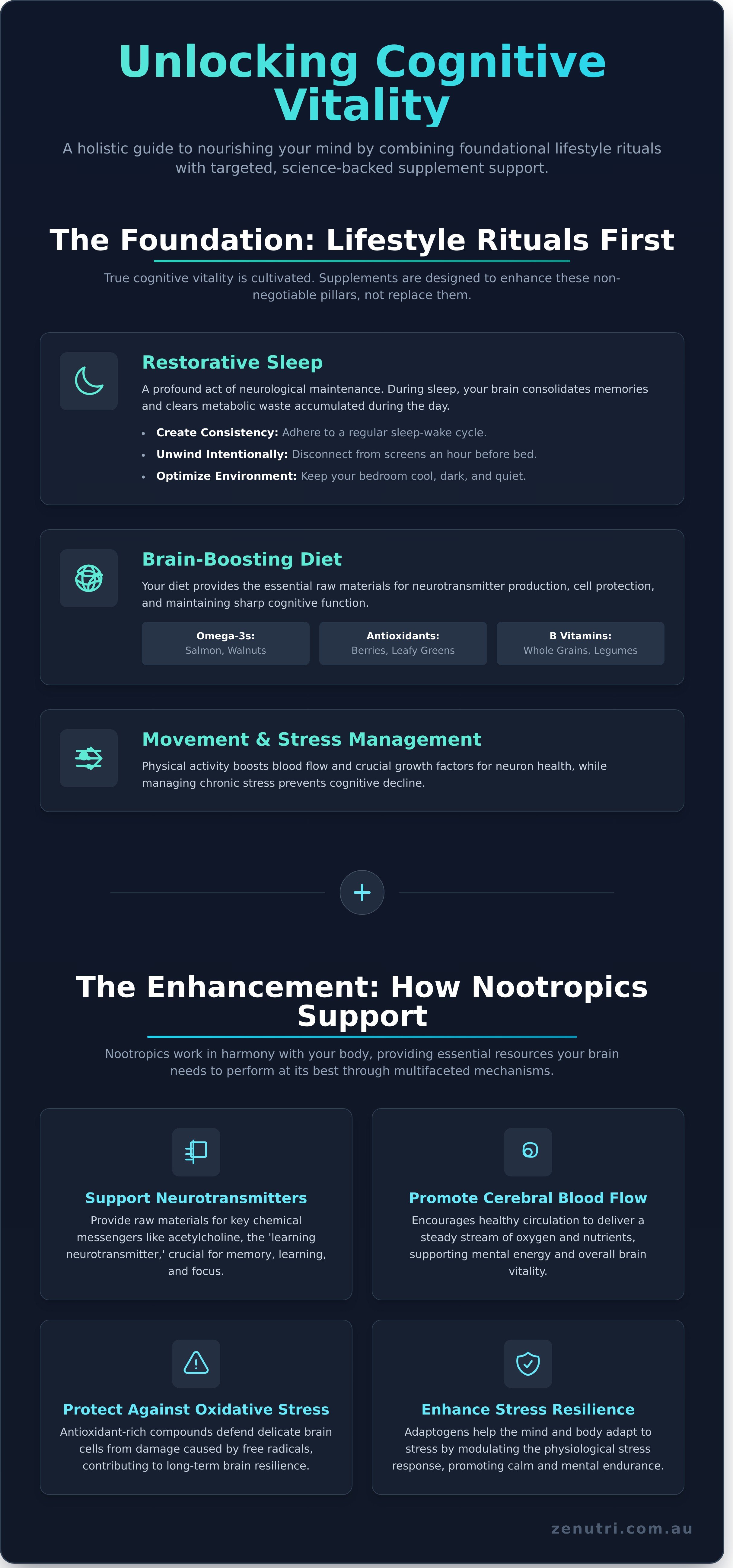 Cognitive supplements infographic - visual guide