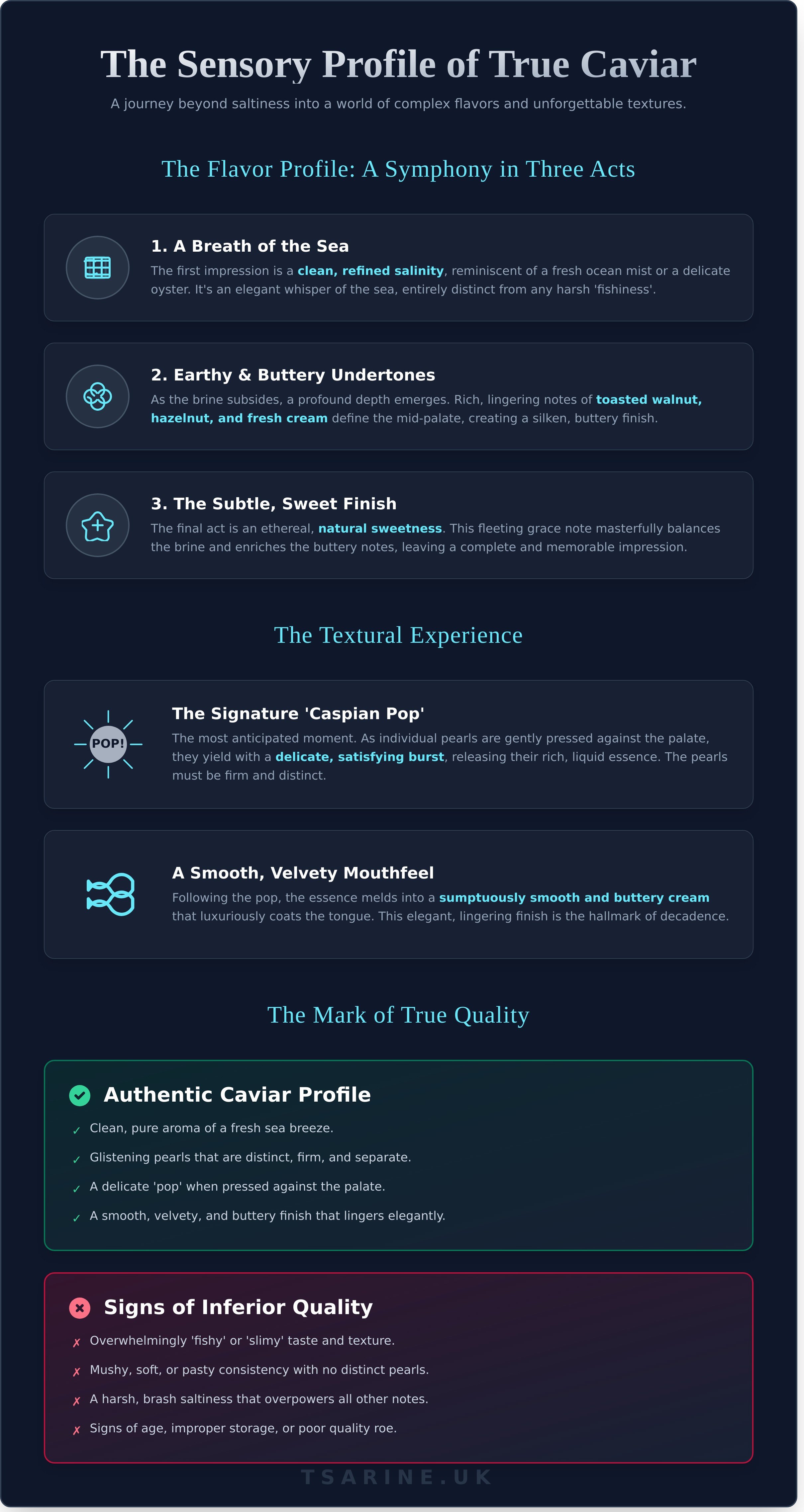 What does caviar taste like infographic - visual guide