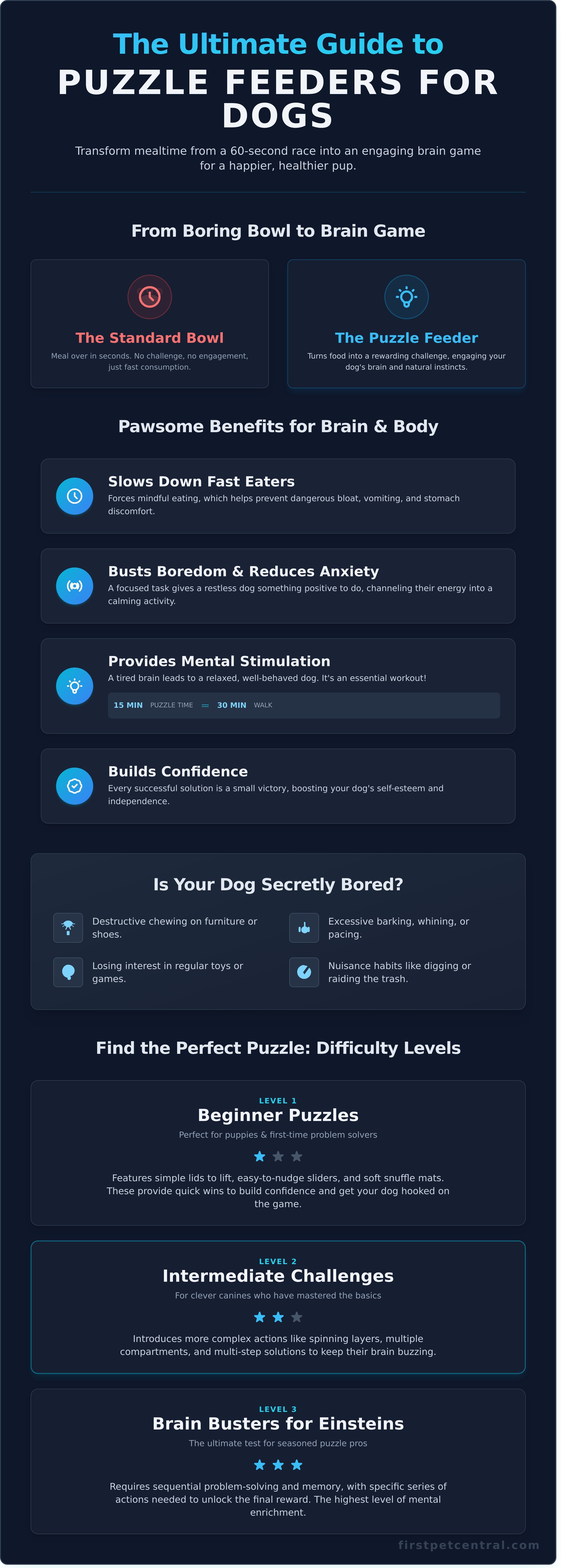 Puzzle feeders for dogs infographic - visual guide