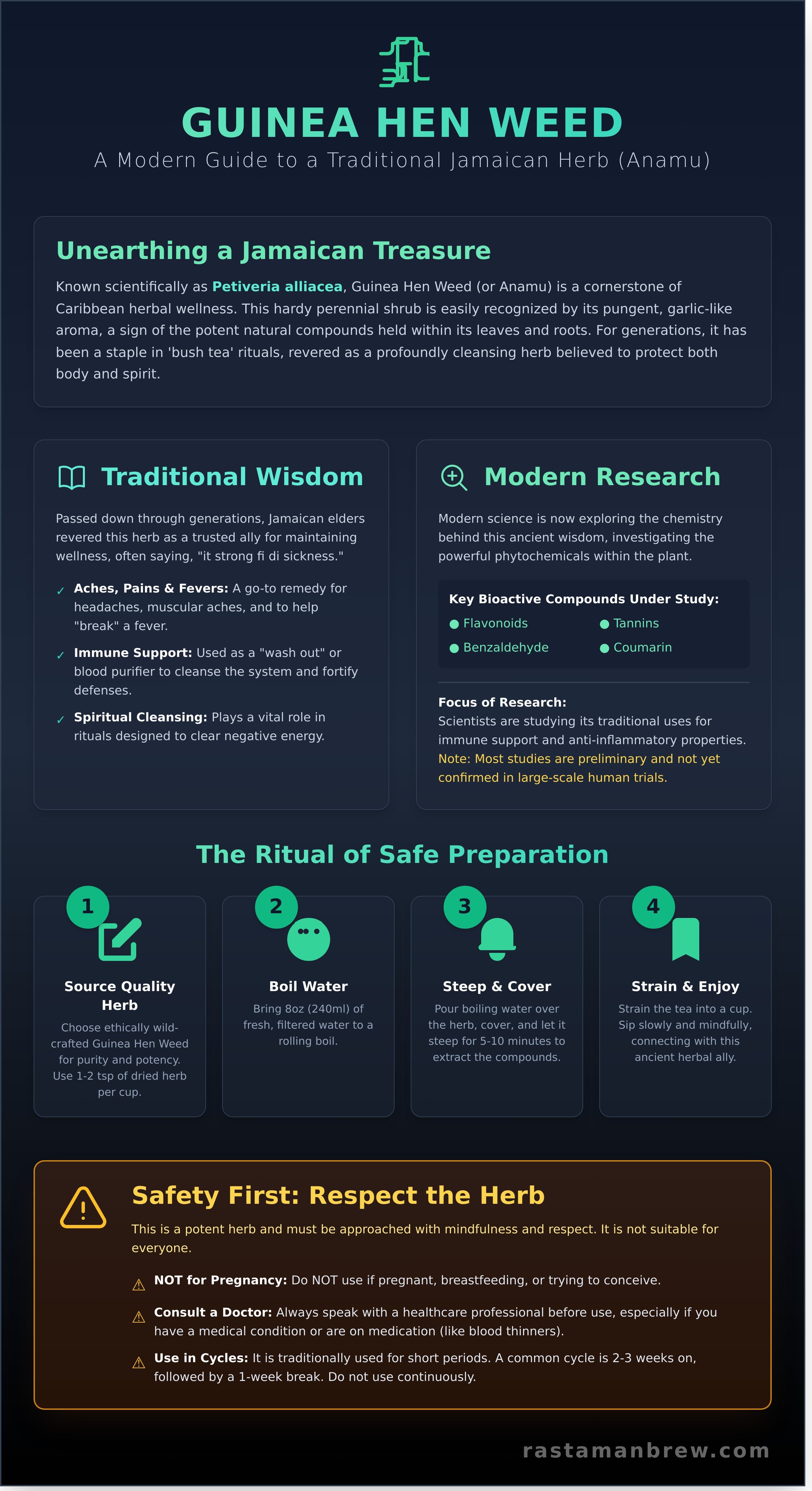 Guinea hen weed infographic - visual guide