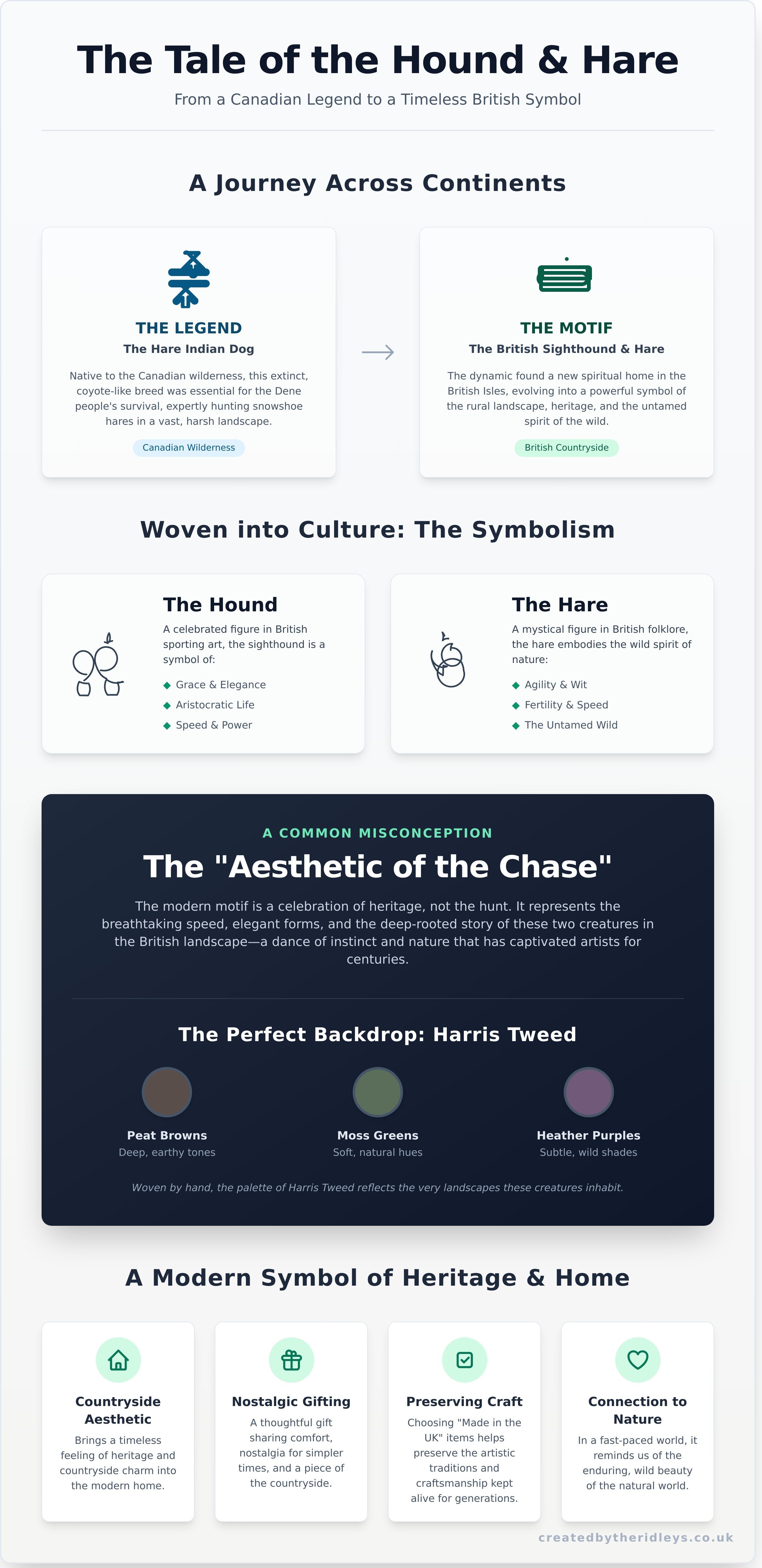 Dog hare infographic - visual guide