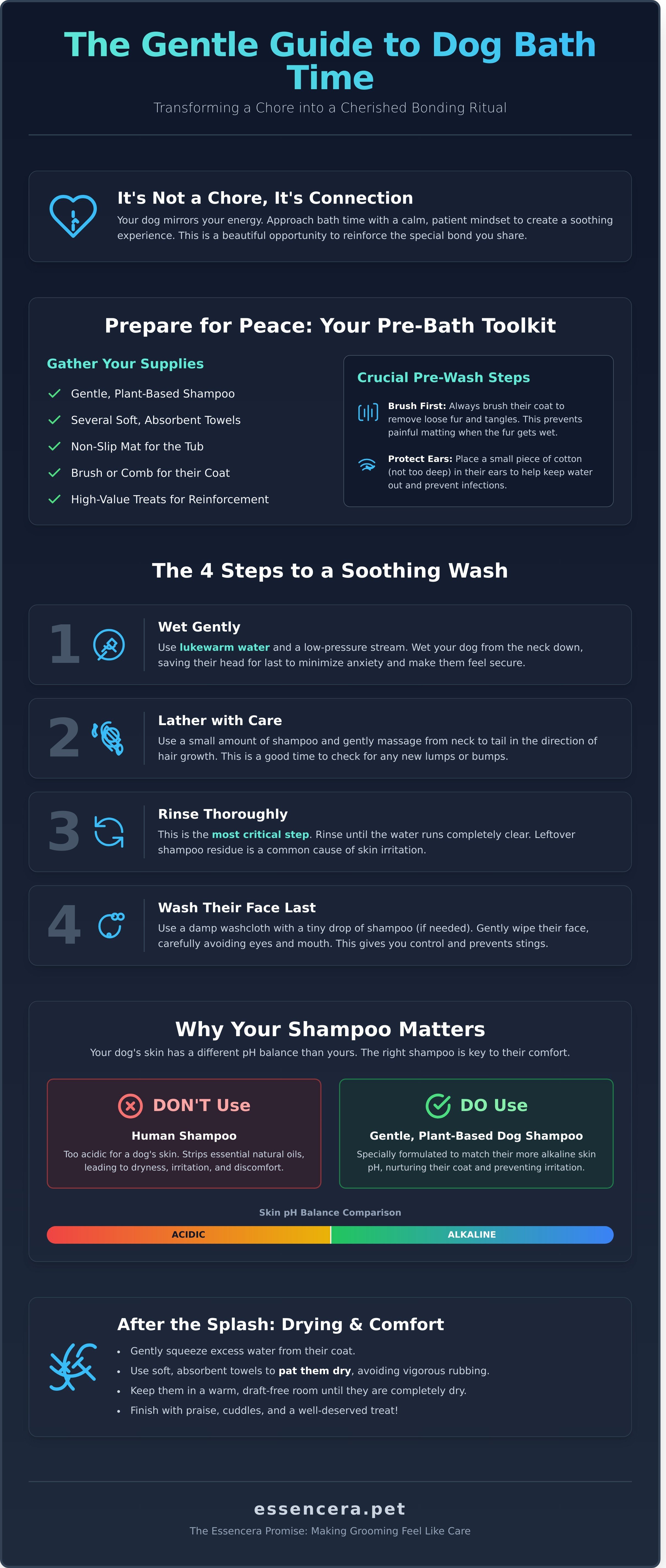 Bath for dogs infographic - visual guide