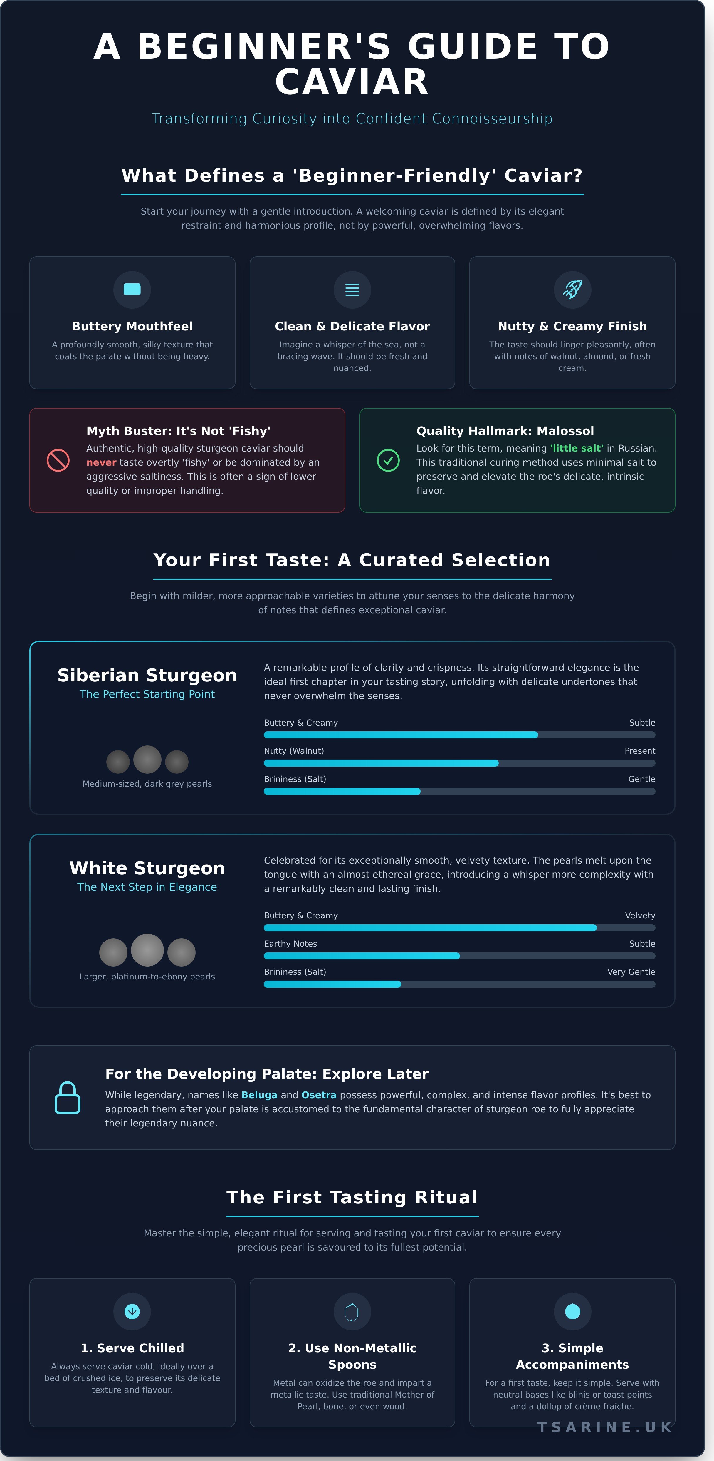 Best caviar for beginners UK infographic - visual guide
