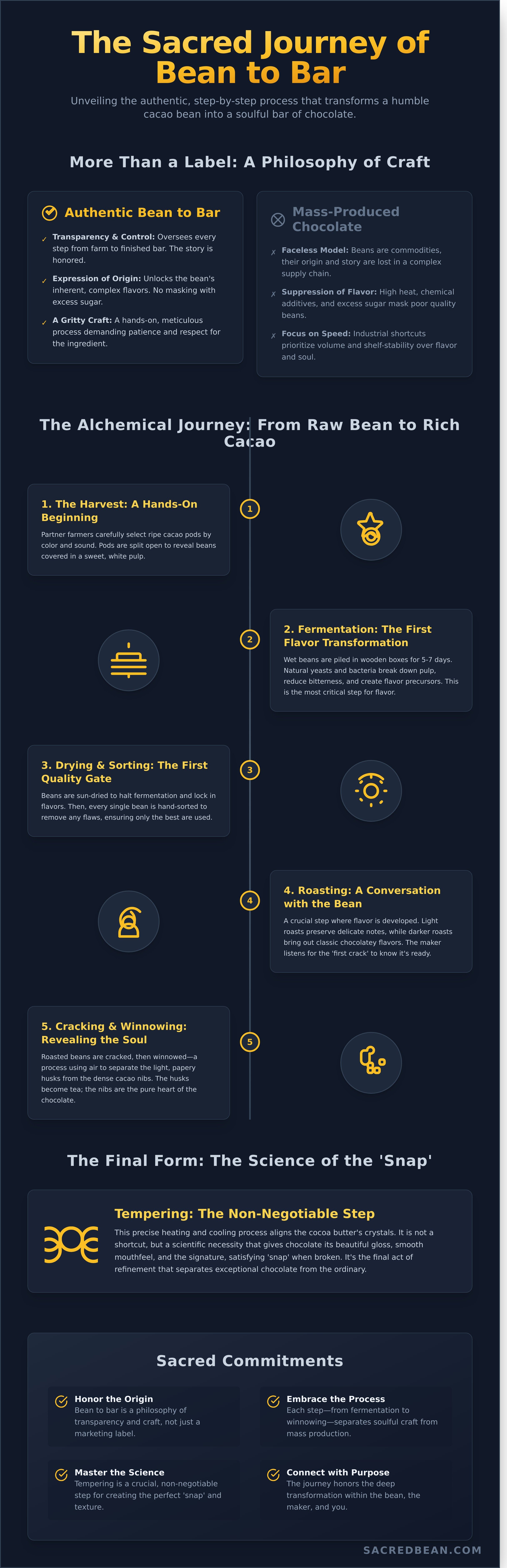 Bean to bar chocolate process infographic - visual guide