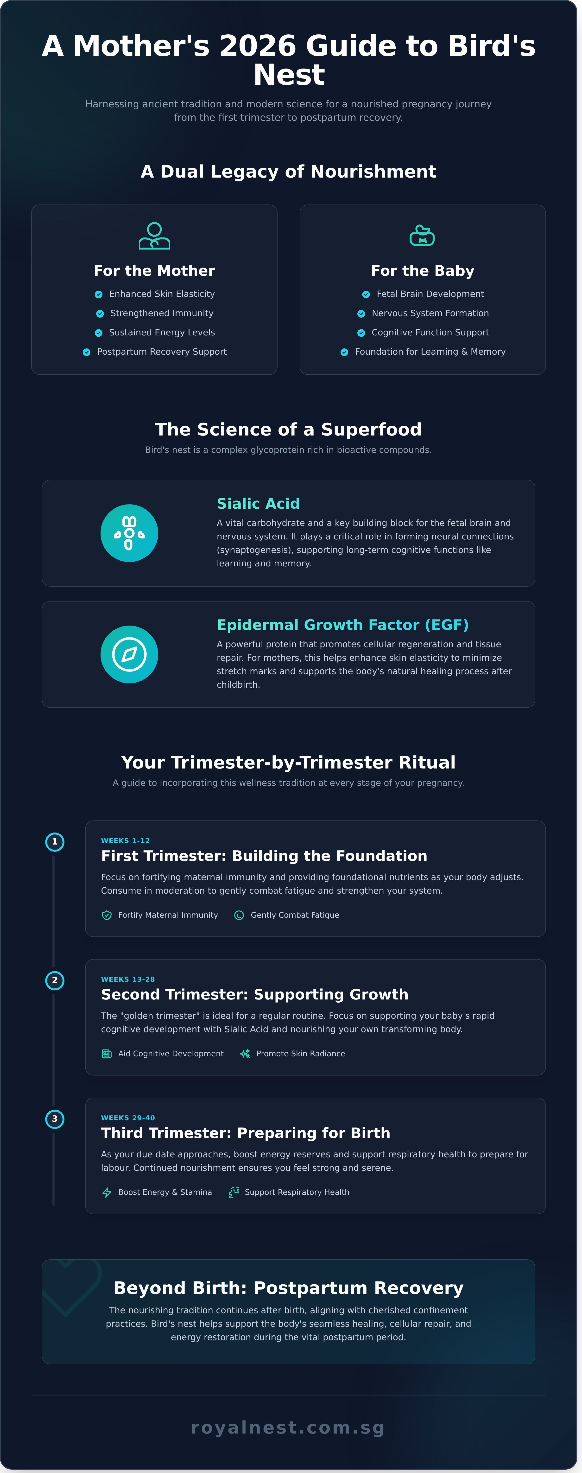 Bird nest pregnancy infographic - visual guide